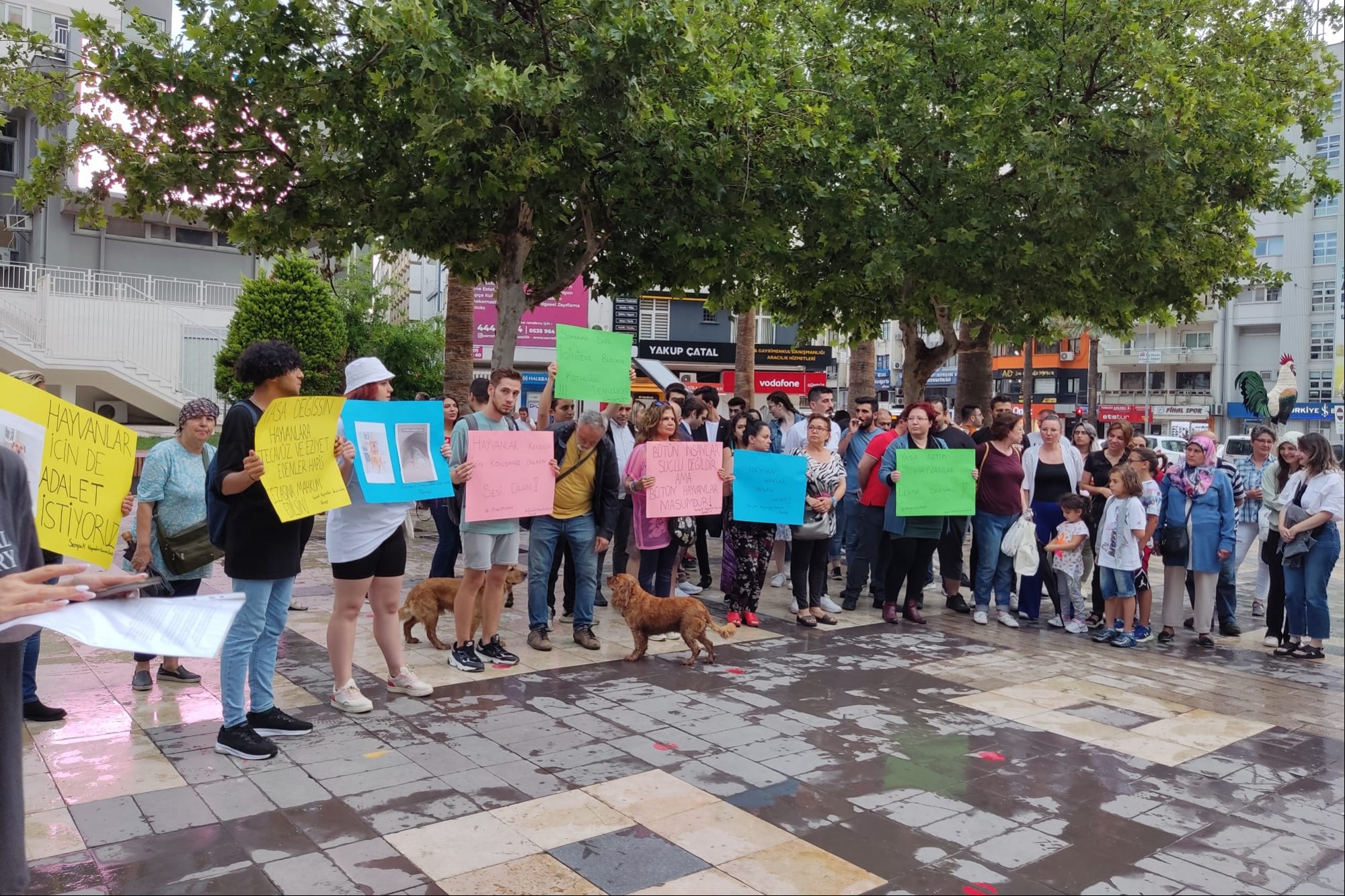 Denizli'de hayvan hakları savunucuları açıklama yaptı