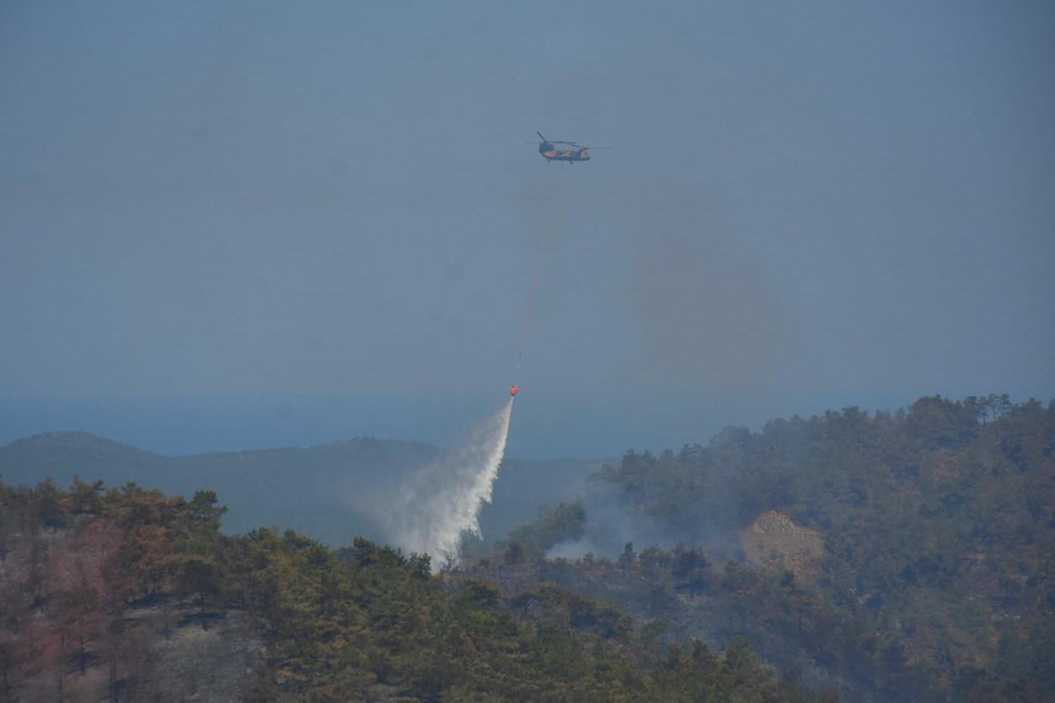 Marmaris'te orman yangını