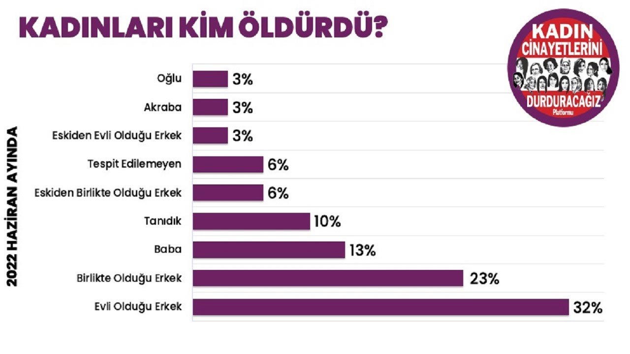 Kadınları kimlerin öldürdüğüne dair veri grafiği