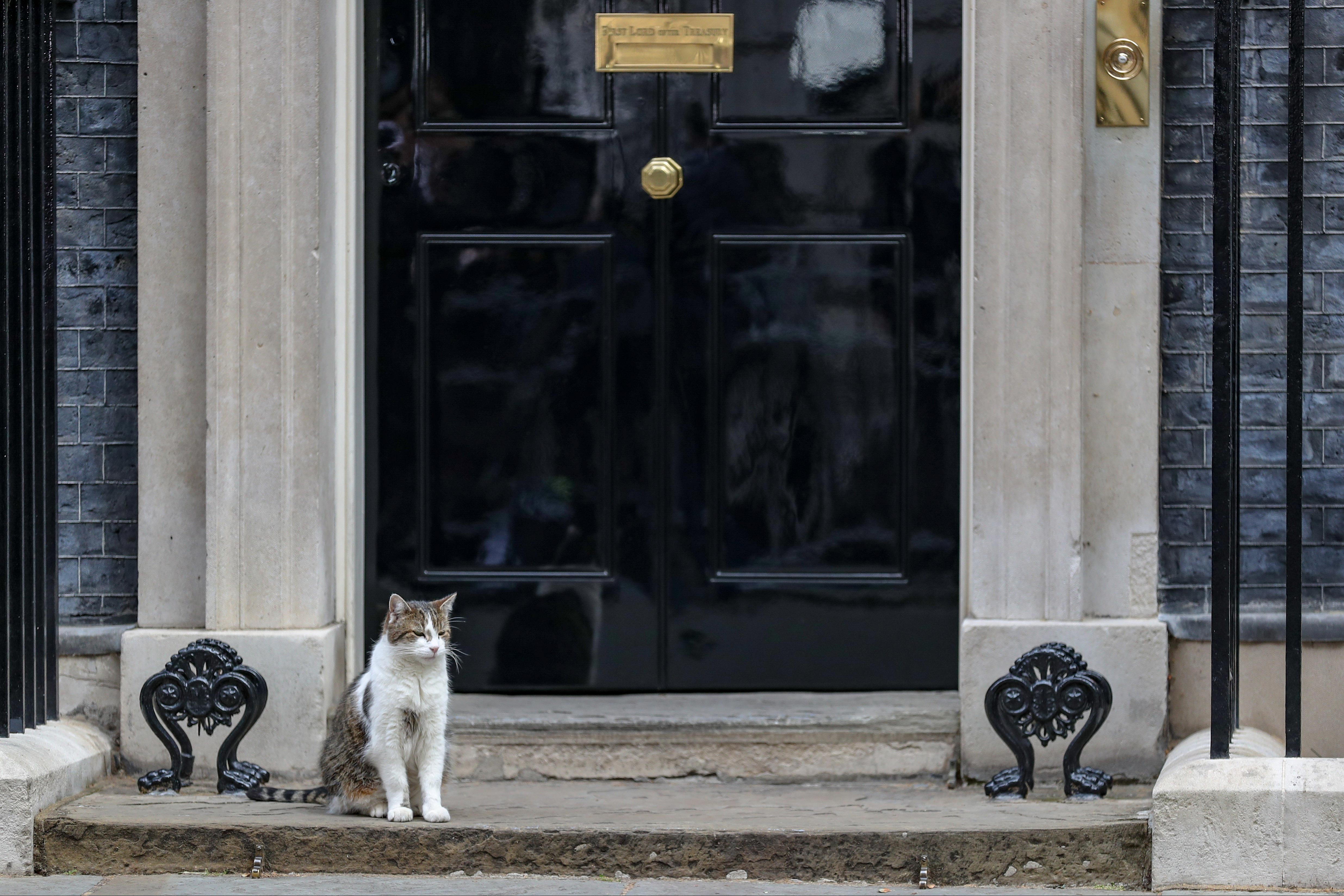 İngiltere Başbakanlık Ofisi (10 Downing Street)