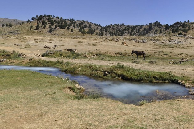 şelale, ırmak, dere