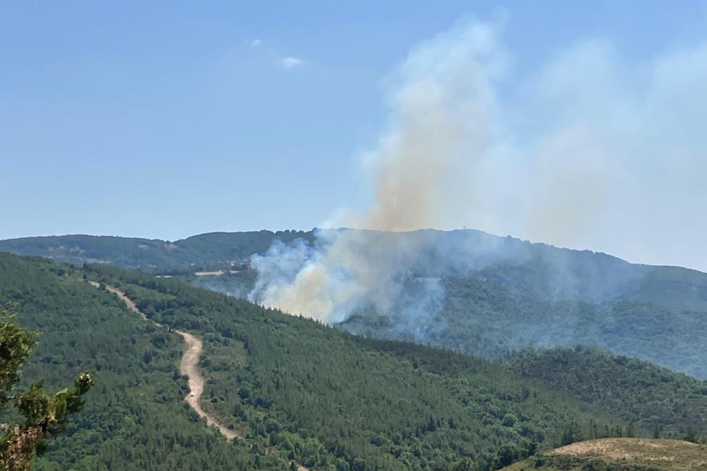 Çanakkale'de orman yangını