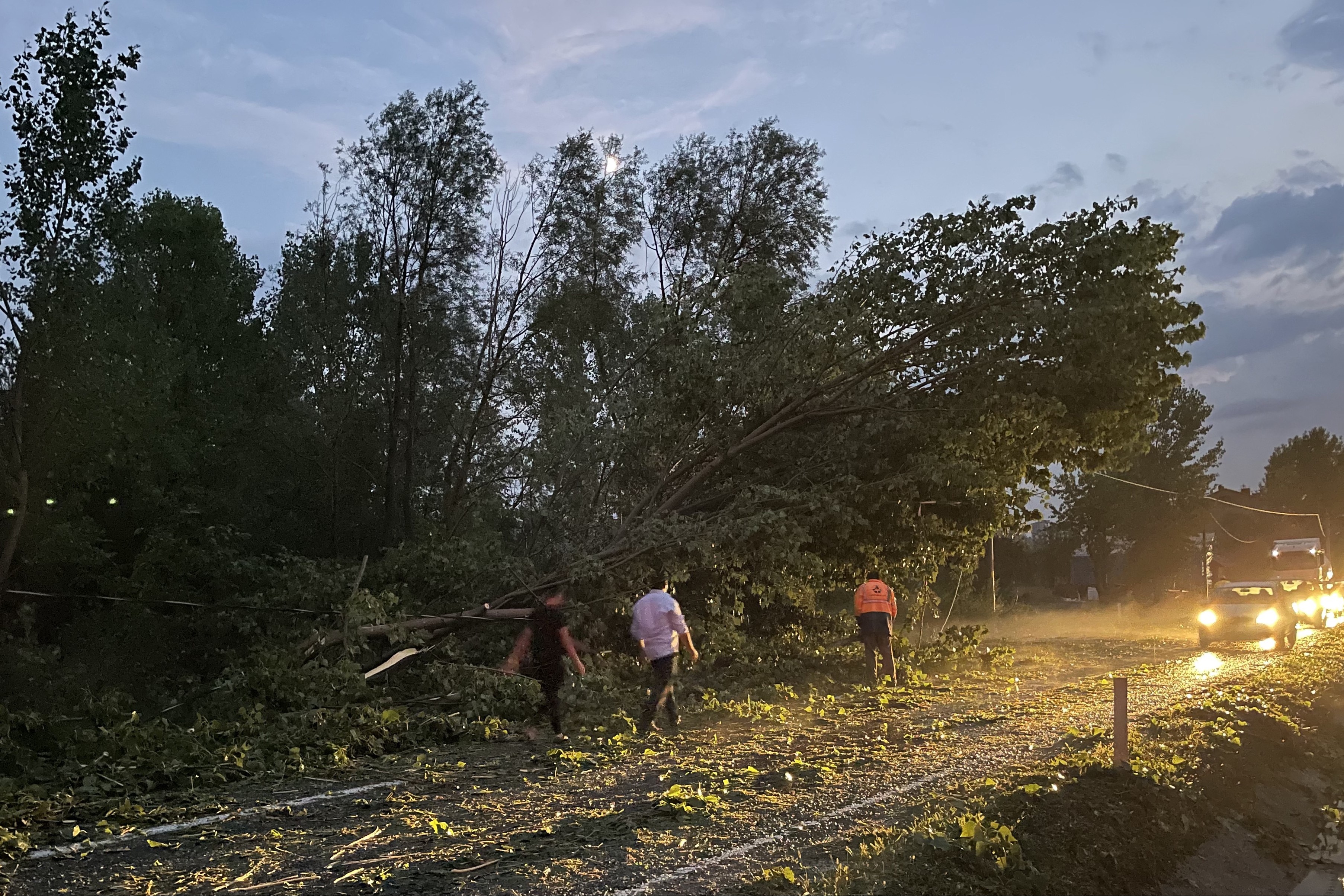 Kastamonu'da sağanak ve dolunun ardından yollarda su birikintileri oluştu, ağaçlar devrildi.