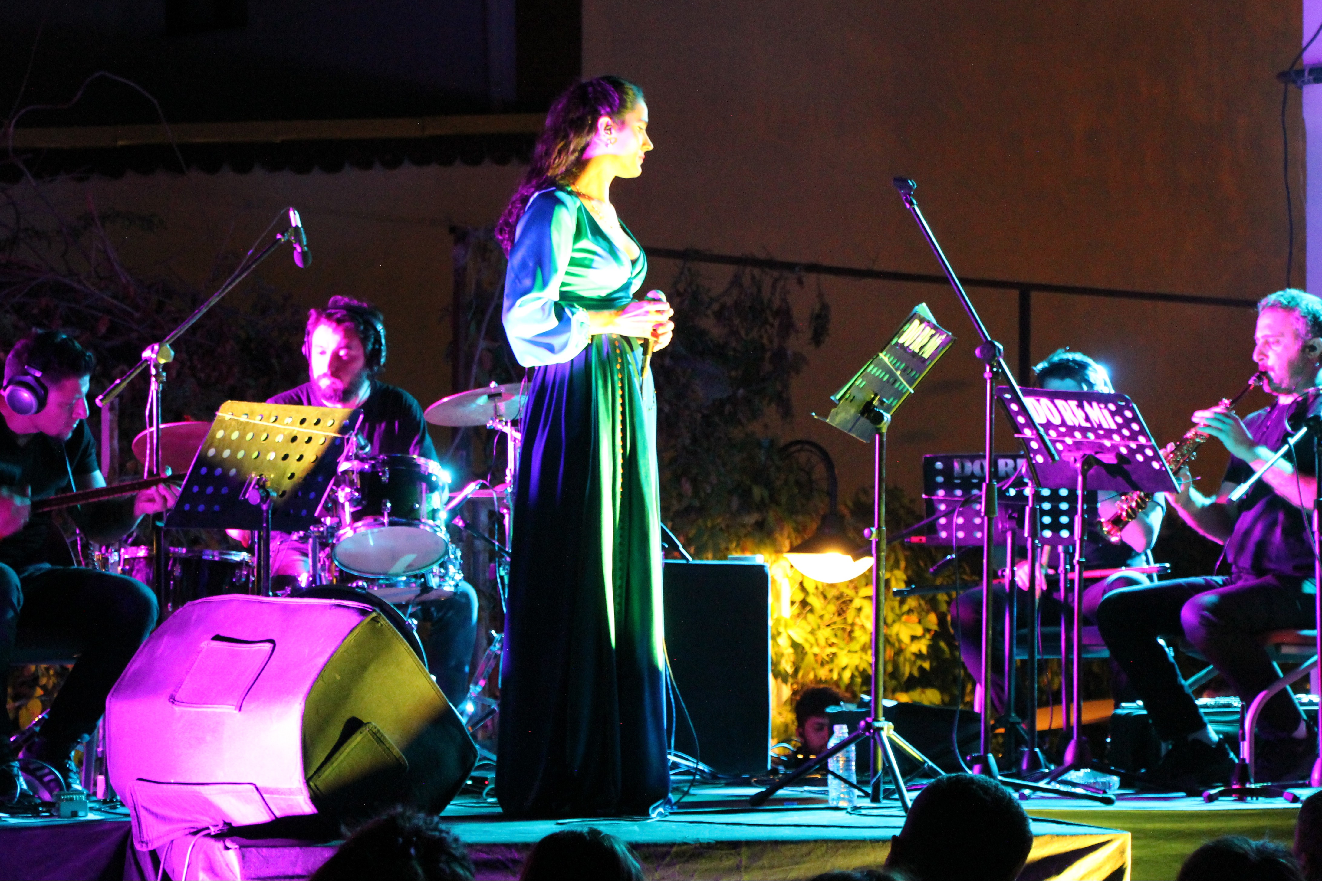 Müzisyen Ruken Yılmaz Diyarbakır konserinde sahnede iken.