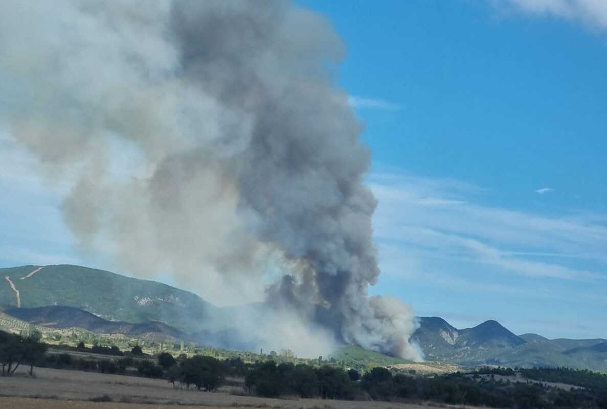 Çanakkale Gelibolu'da orman yangını