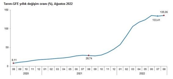 Tarım-GFE yıllık değişim oranı Ağustos 2022