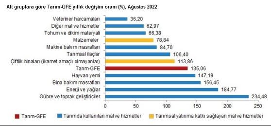 Tarım-GFE yıllık değişim oranı Ağustos 2022