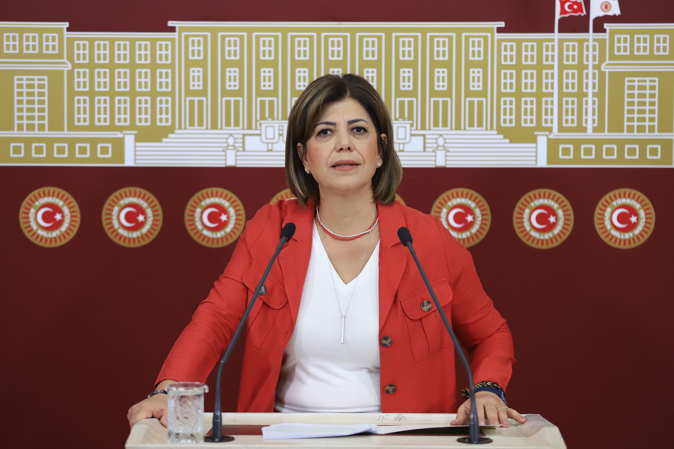 Meral Danış Beştaş