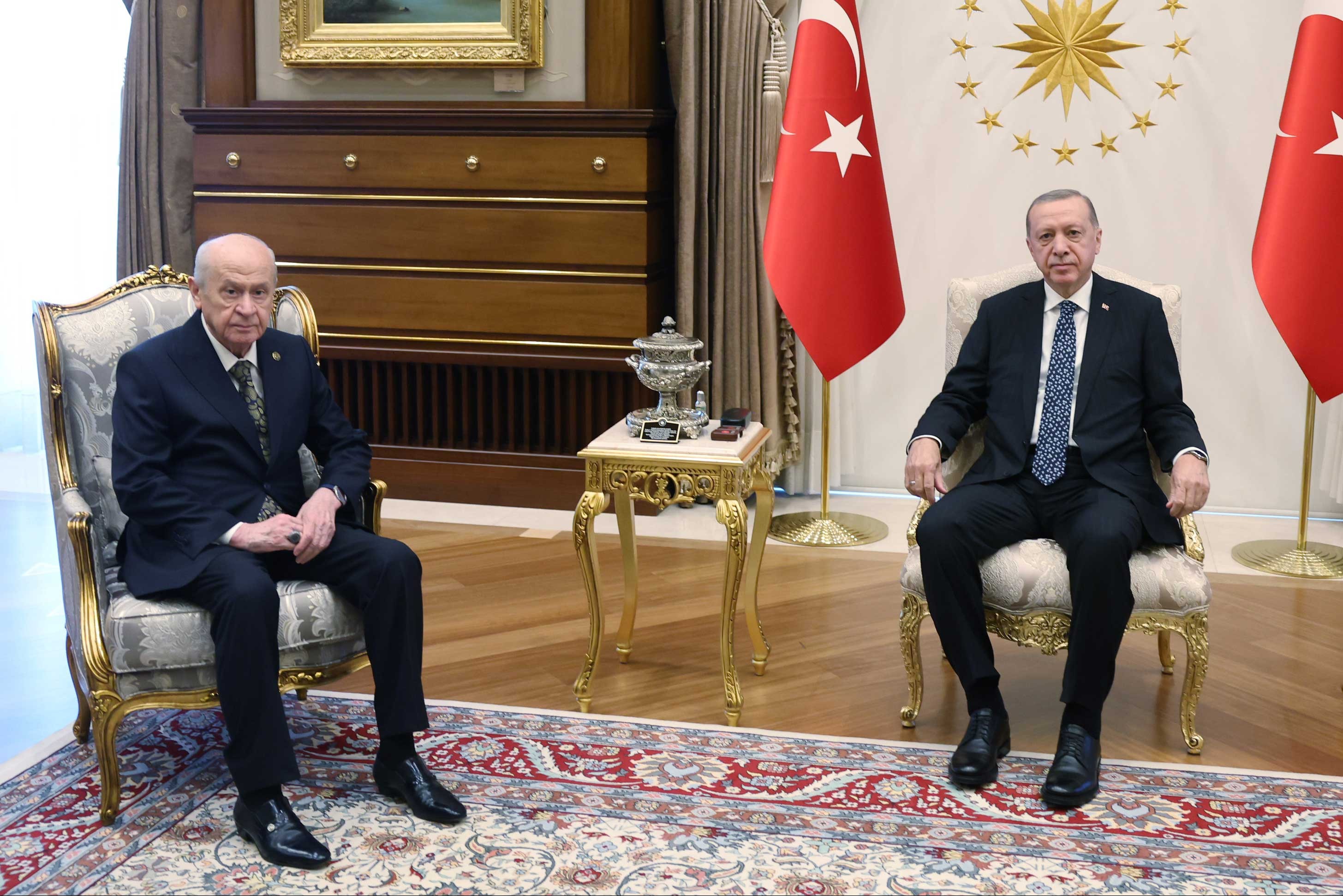 Tayyip Erdoğan ve Devlet Bahçeli