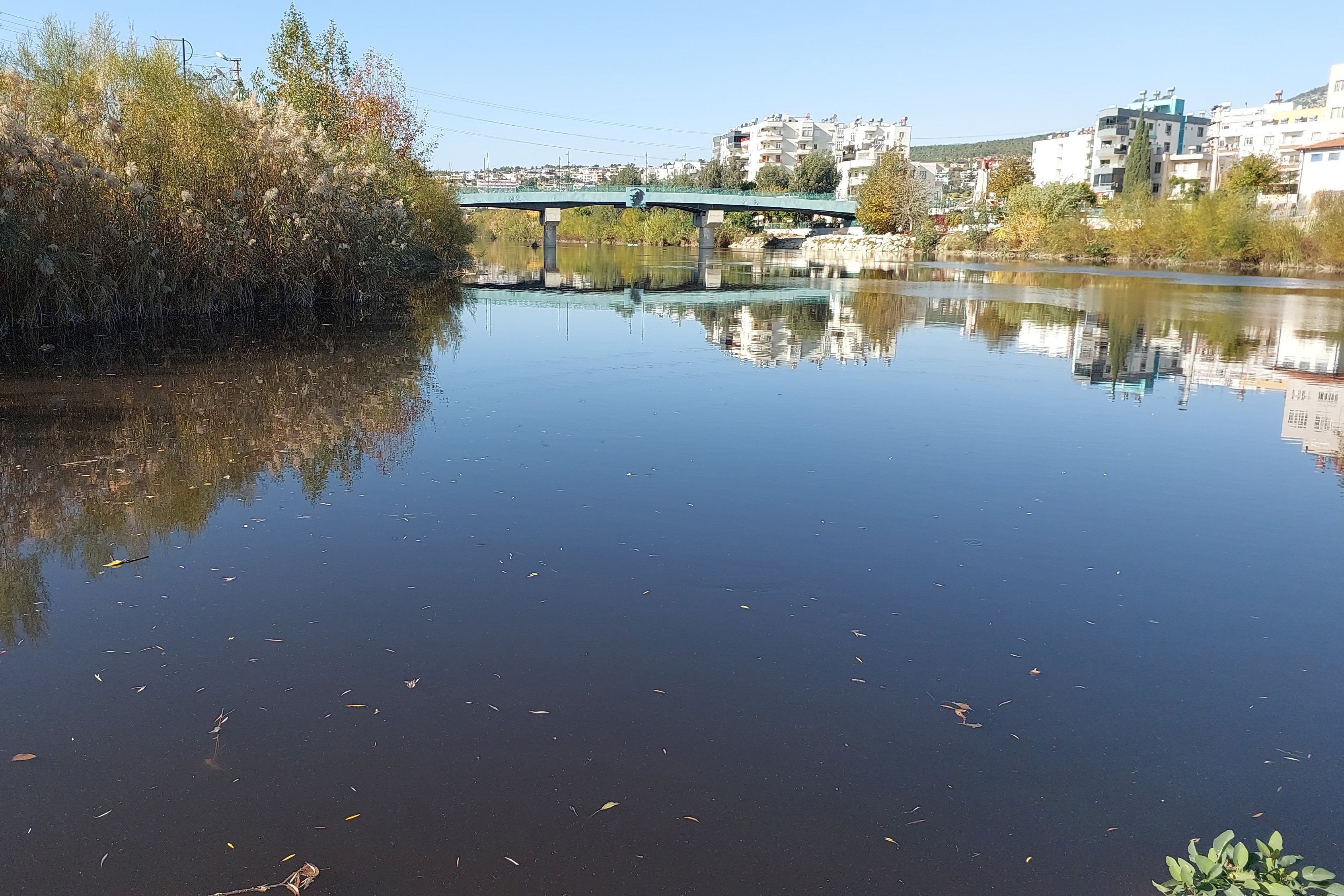 Göksu Nehri'nde suyun rengi siyaha döndü.