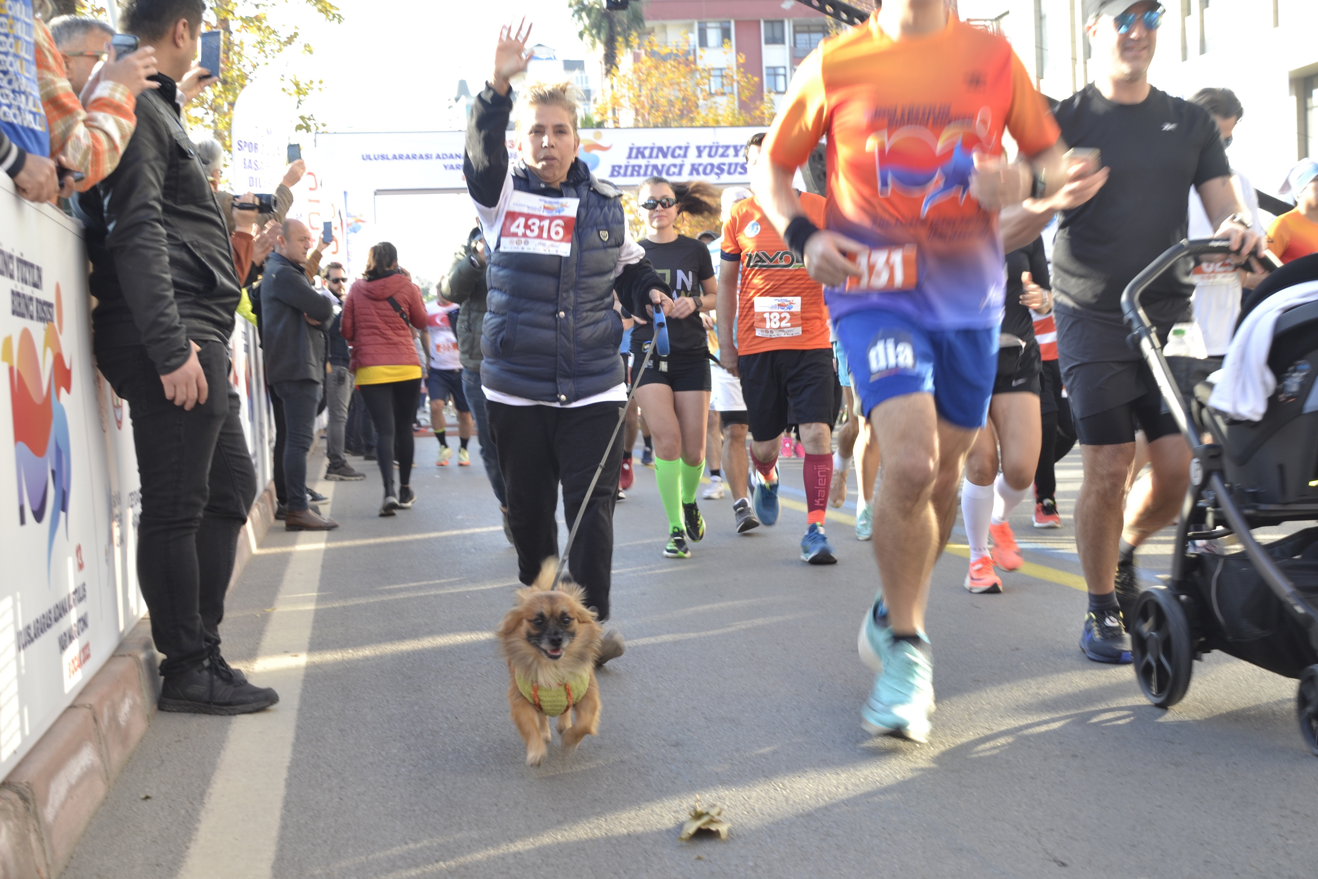 Koşuya katılan köpek