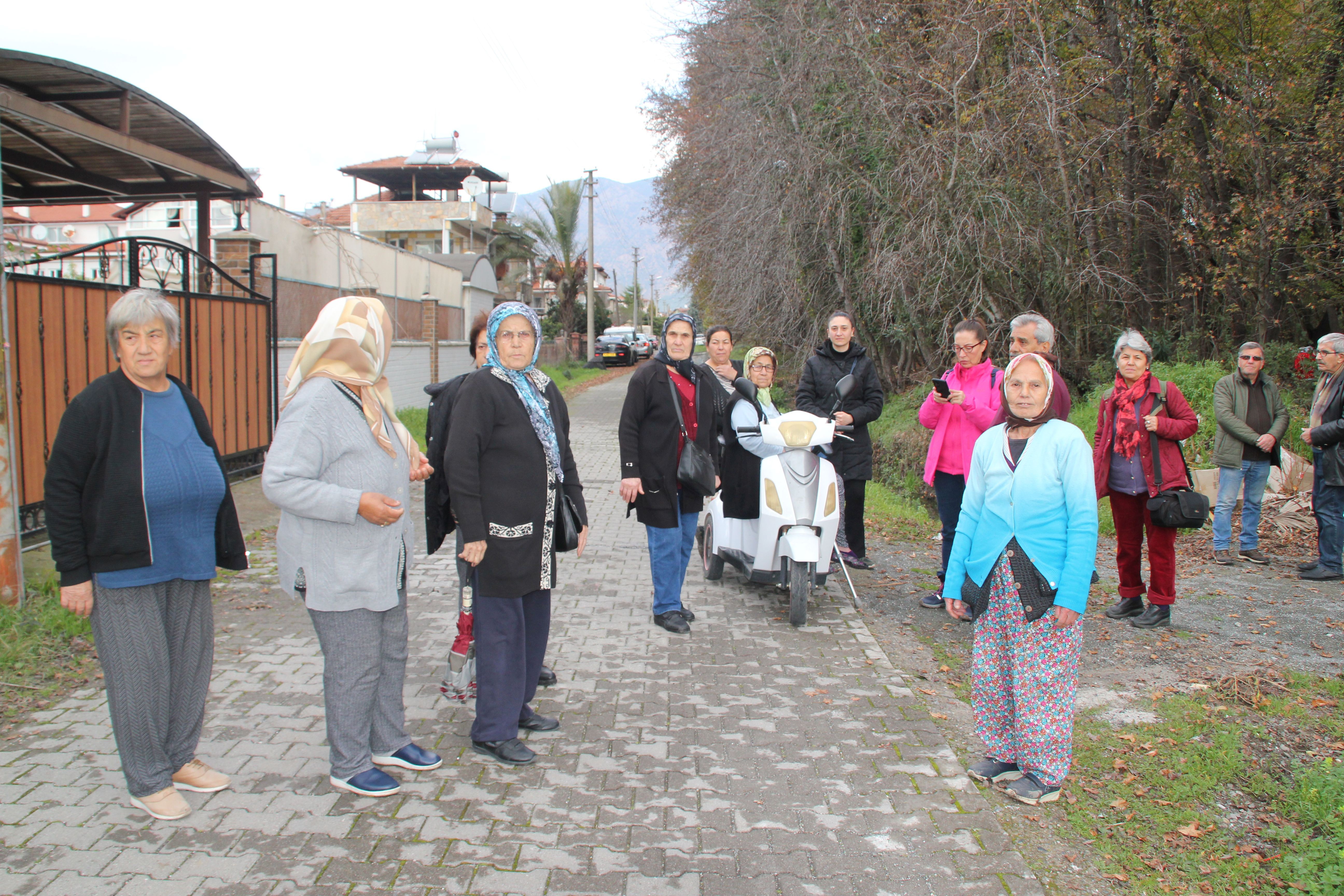 Sığla ağaçlarının kesilmesine karşı direnen Köyceğizliler.