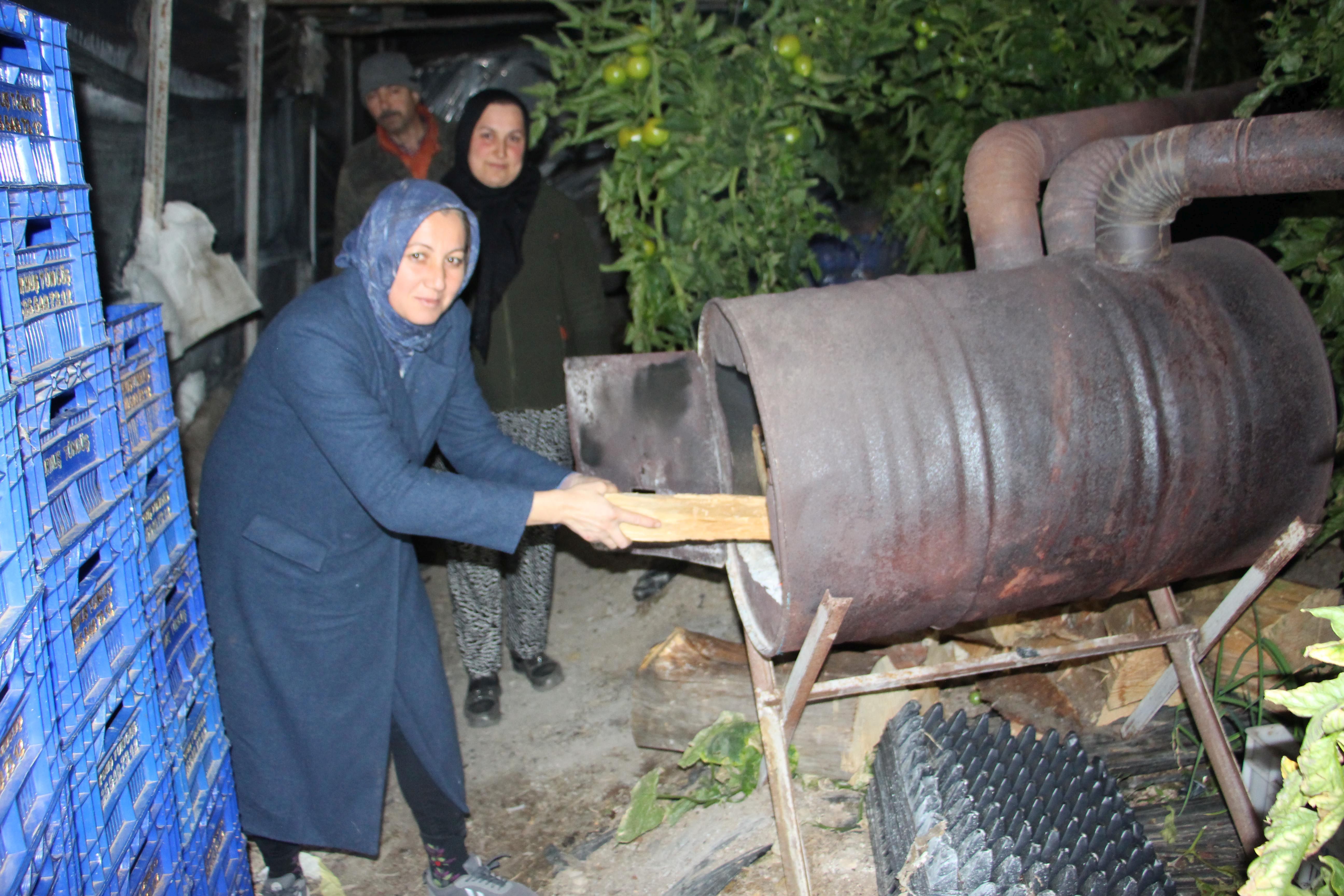 Antalya'da seralarda 'don' nöbeti