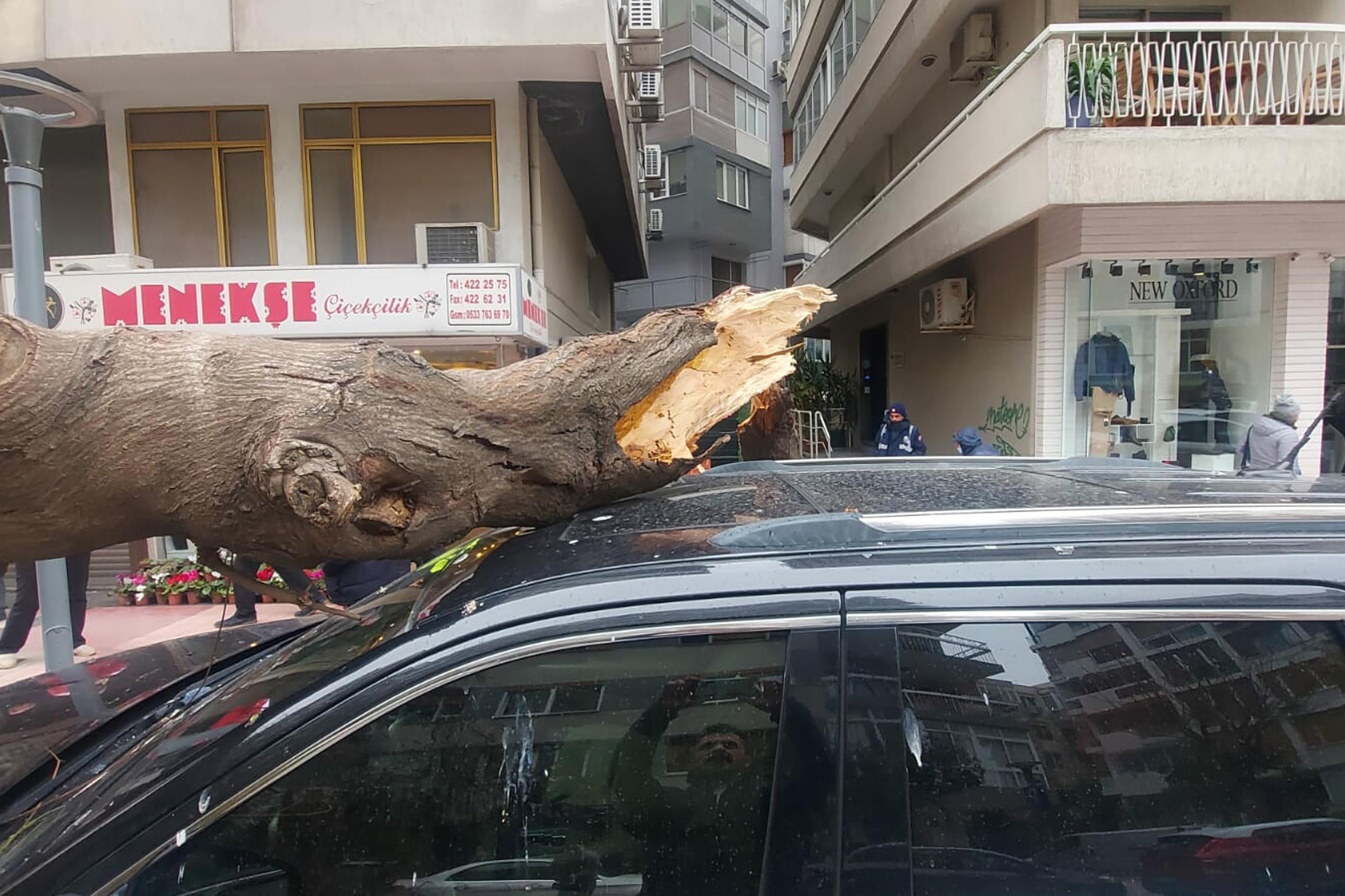 Aracın üzerine düşen ağaç