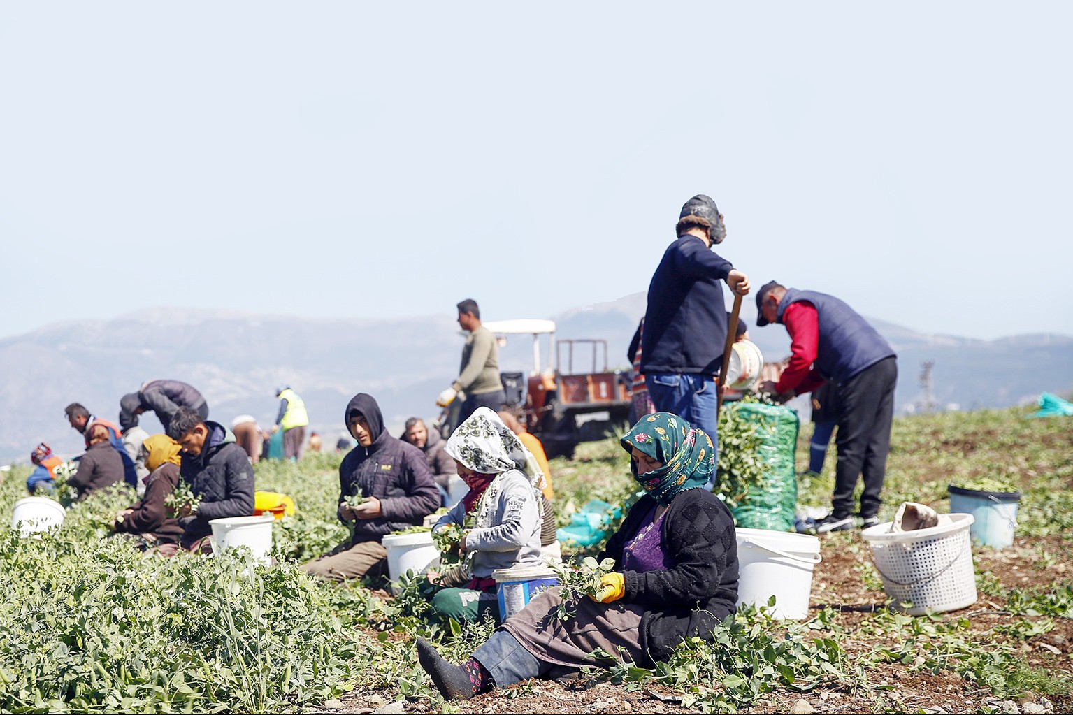 Tarım işçileri