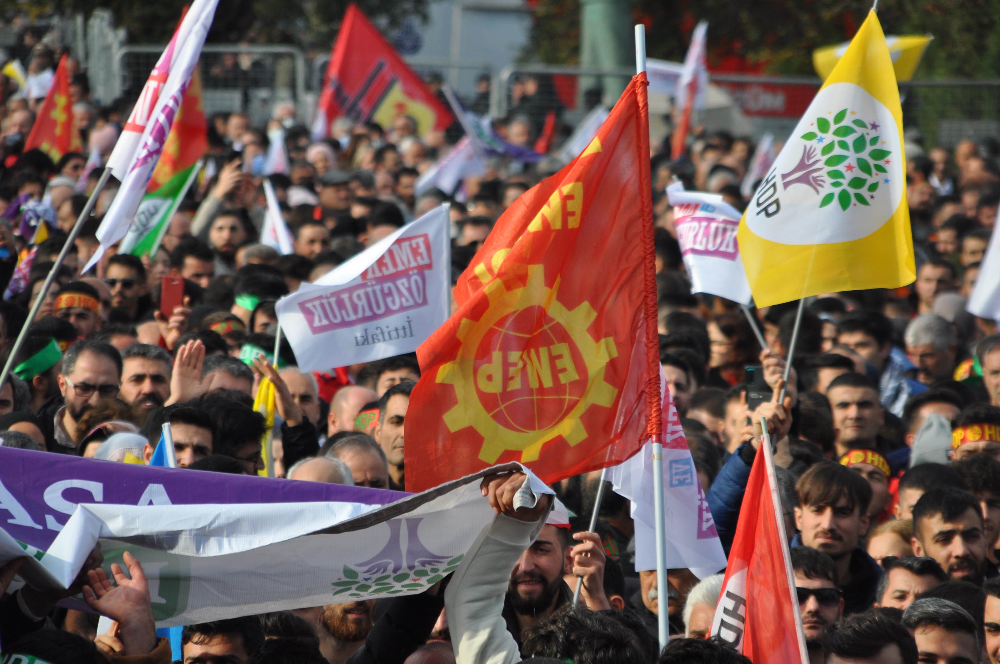 Emek Partisi, Emek ve Özgürlük İttifakı ve HDP bayrakları