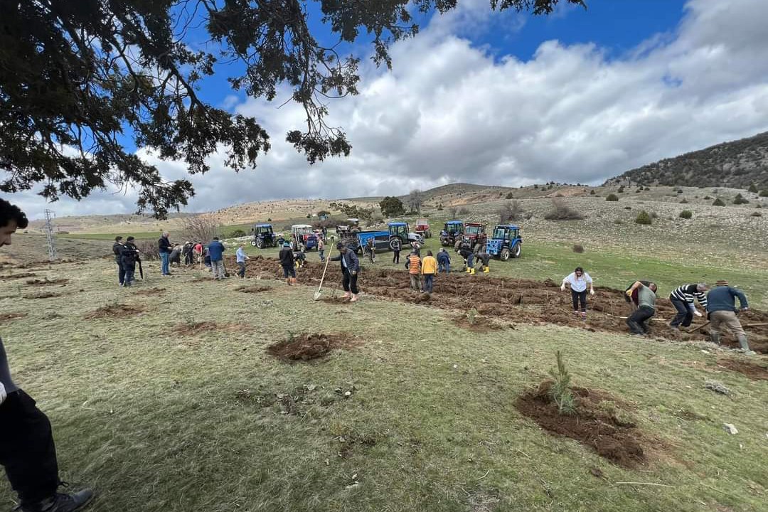 Tokat Günçalı Köyünde fidan dikimi.