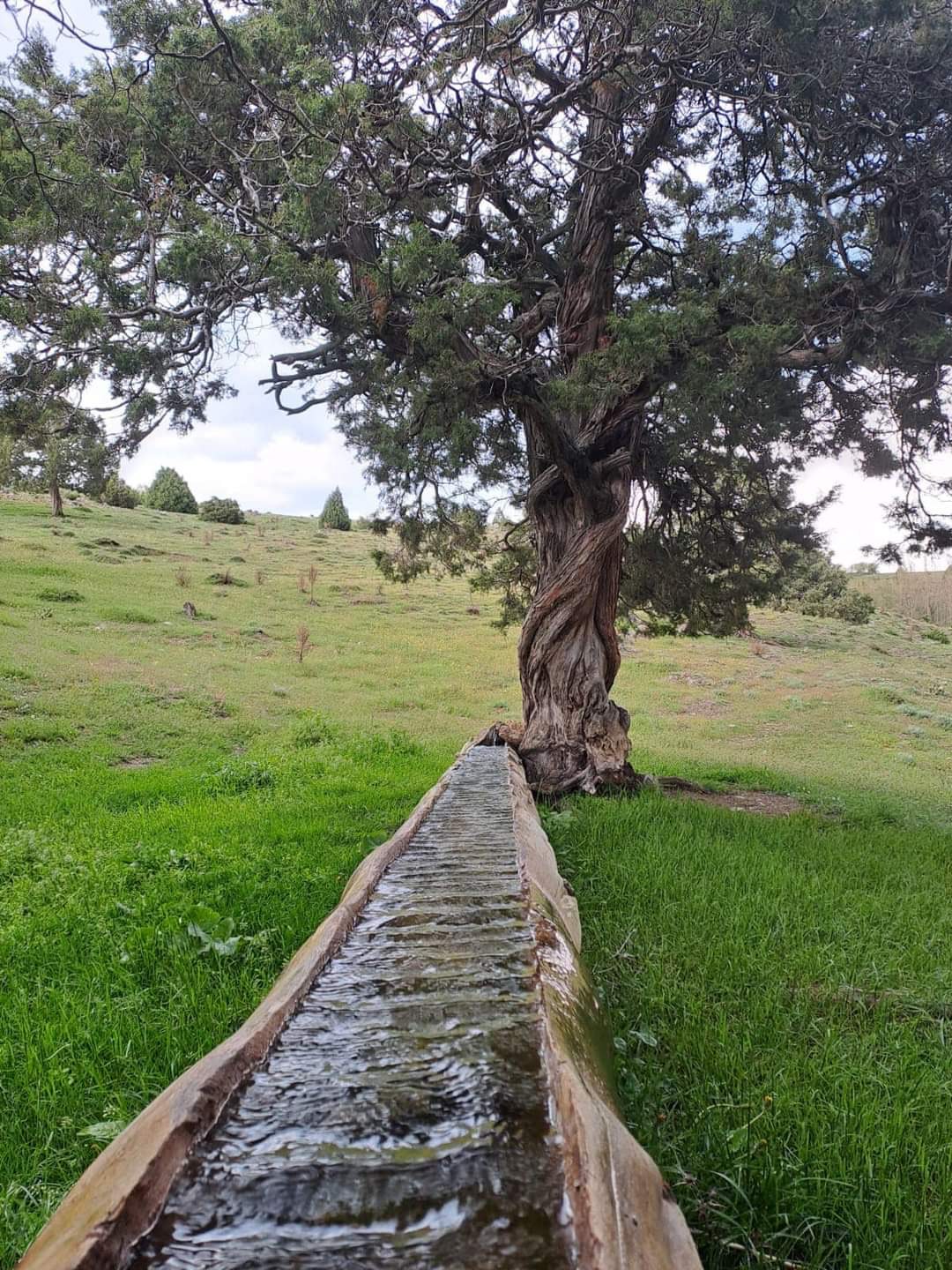 Tokat Günçalı Köyünden bir görüntü.