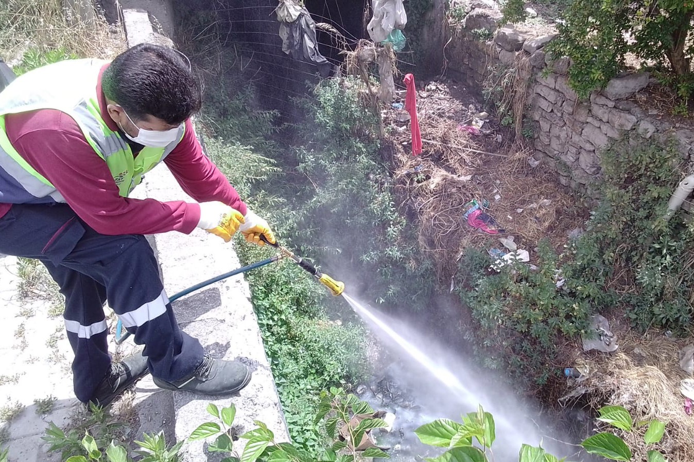 Hatay'da haşere ve kemingenlerle mücadele