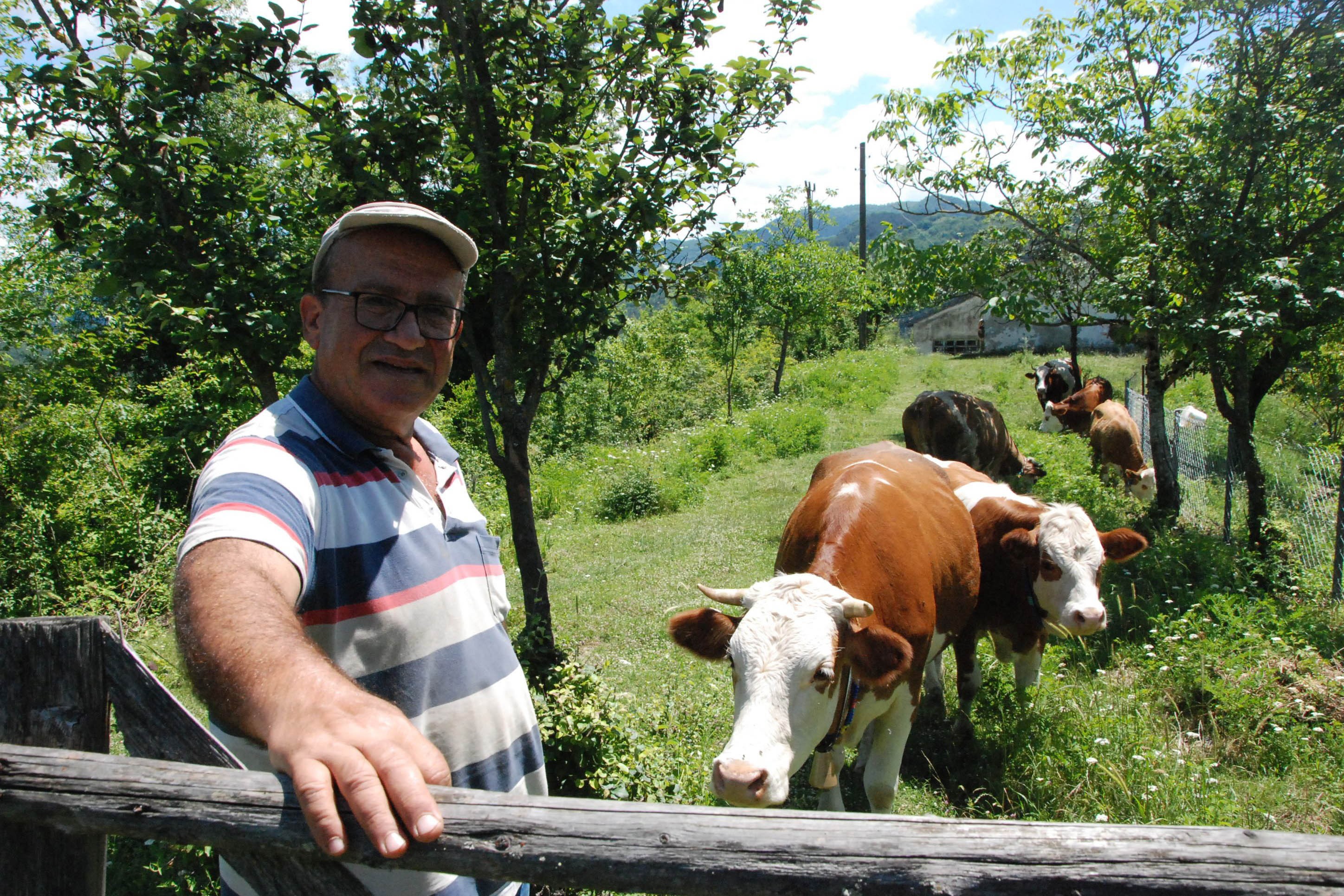 Barrtn'da şap hastalığı 