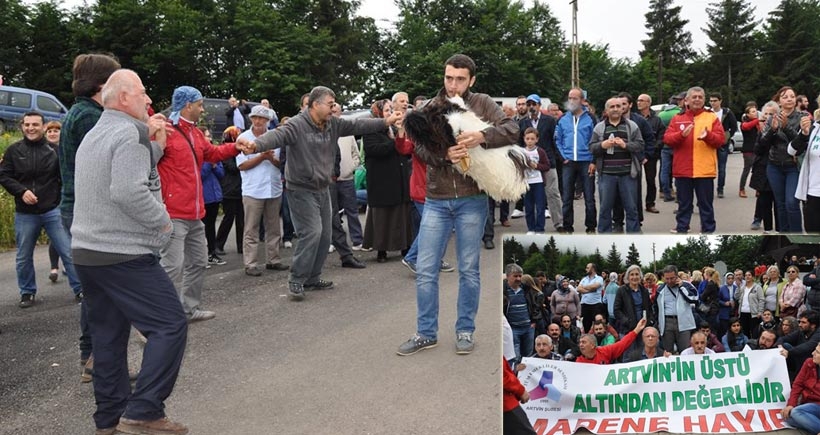 Artvinliler, altıncı şirketi bir kez daha püskürttü