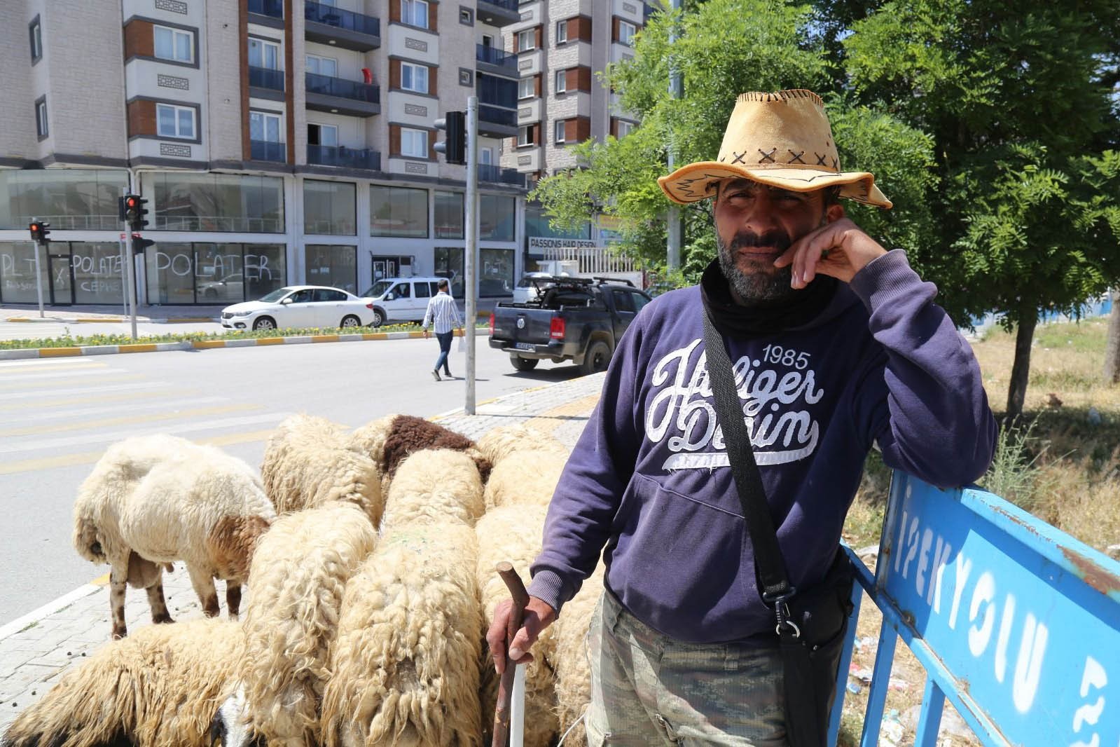 Kurban satış yeri