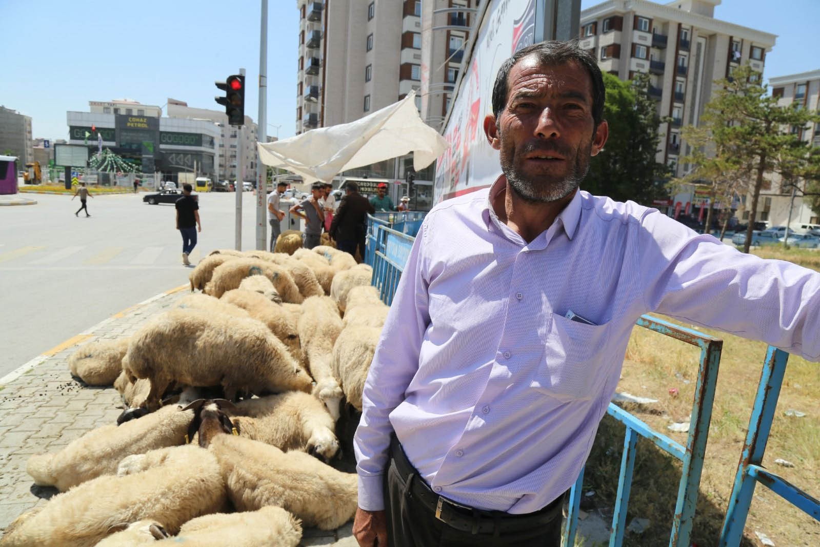 Kurban satış yeri