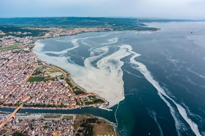 Marmara Denizi'ndeki müsilaj