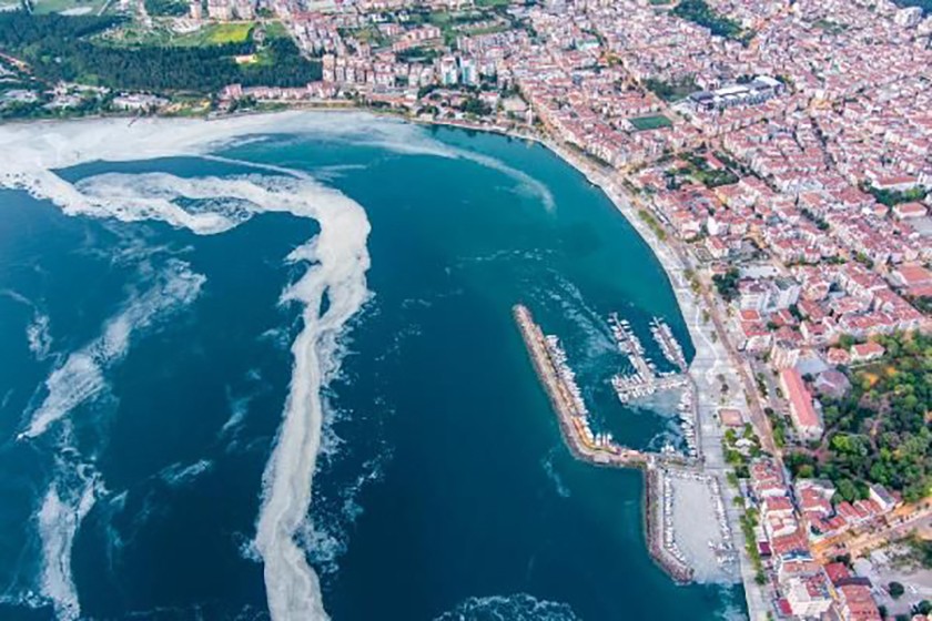 Marmara Denizi'ndeki müsilaj