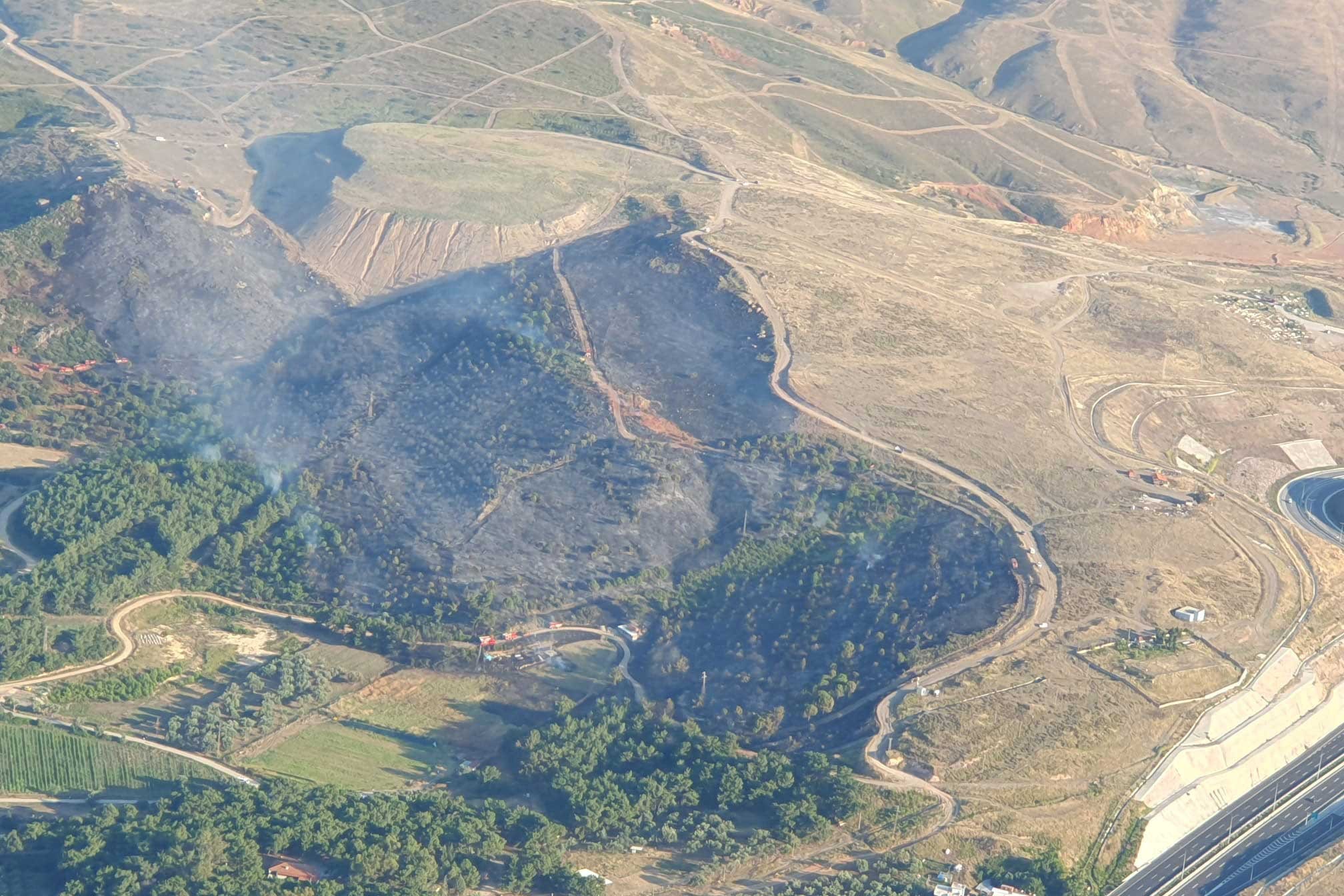 İzmir'in Menemen ilçesinde çıkan orman yangını