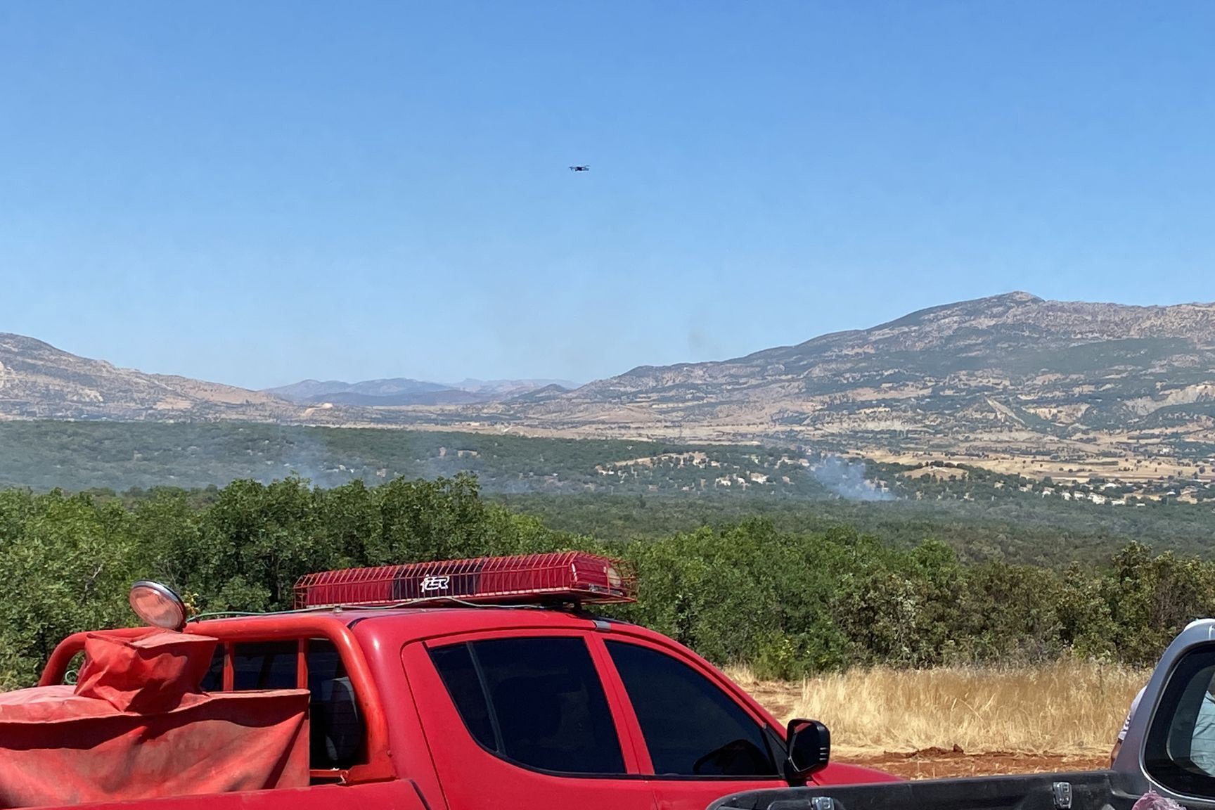 Diyarbakır Lice'de orman yangını 