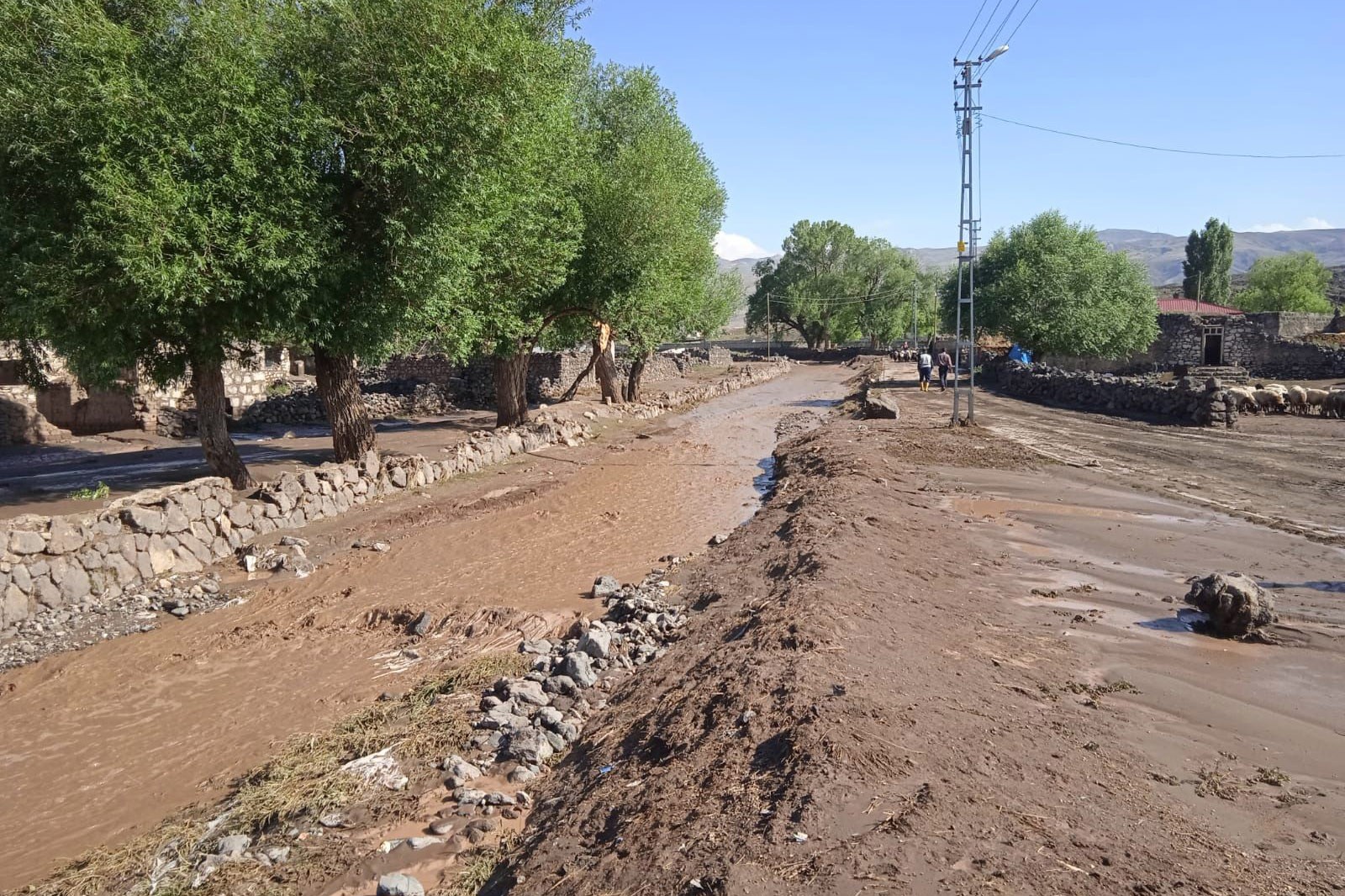 Ağrı'nın Doğubayazıt ilçesinde sağanak sonrası sel 