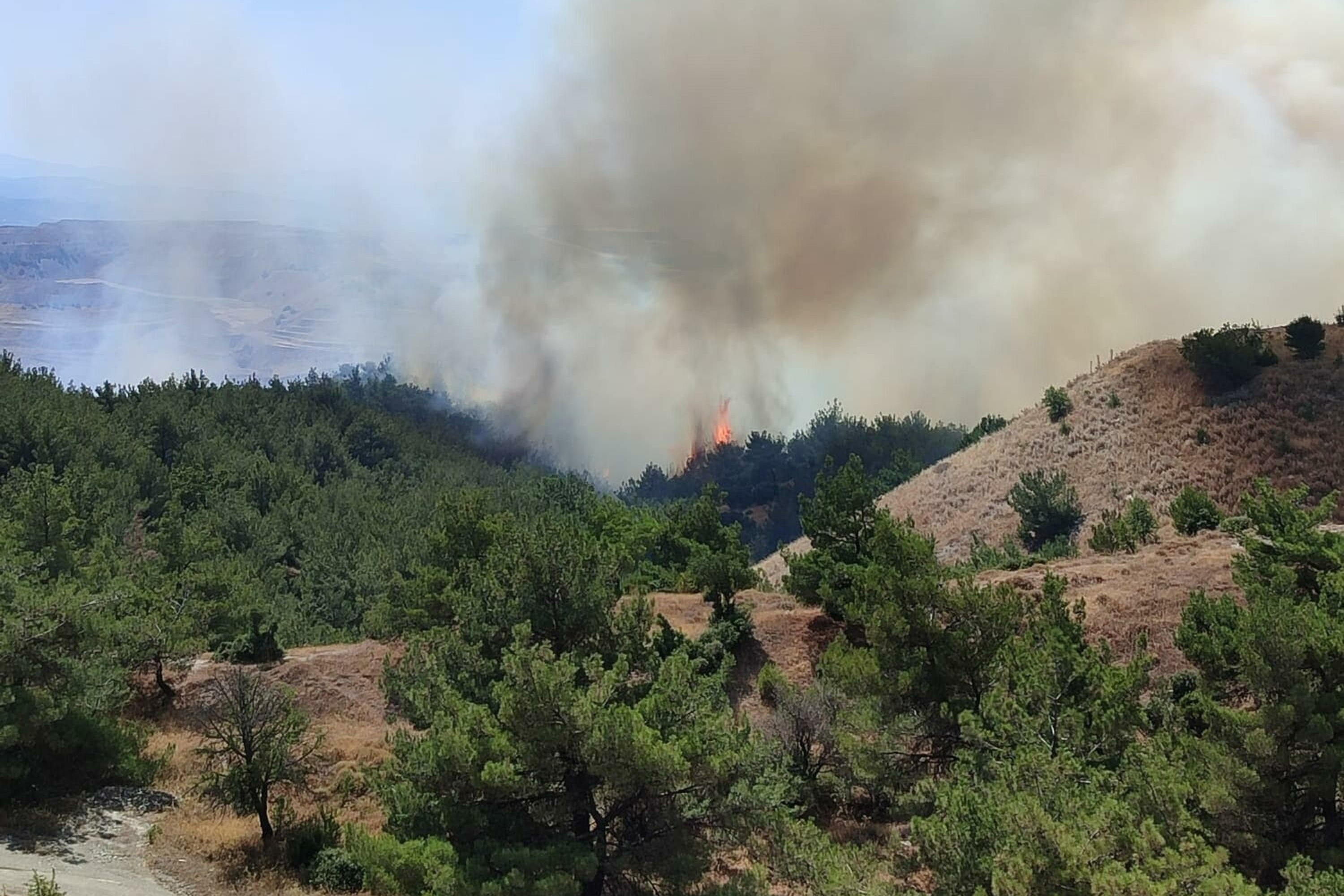 Manisa Soma'da orman yangını  