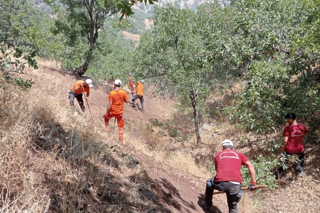 Bingöl'de orman yangını