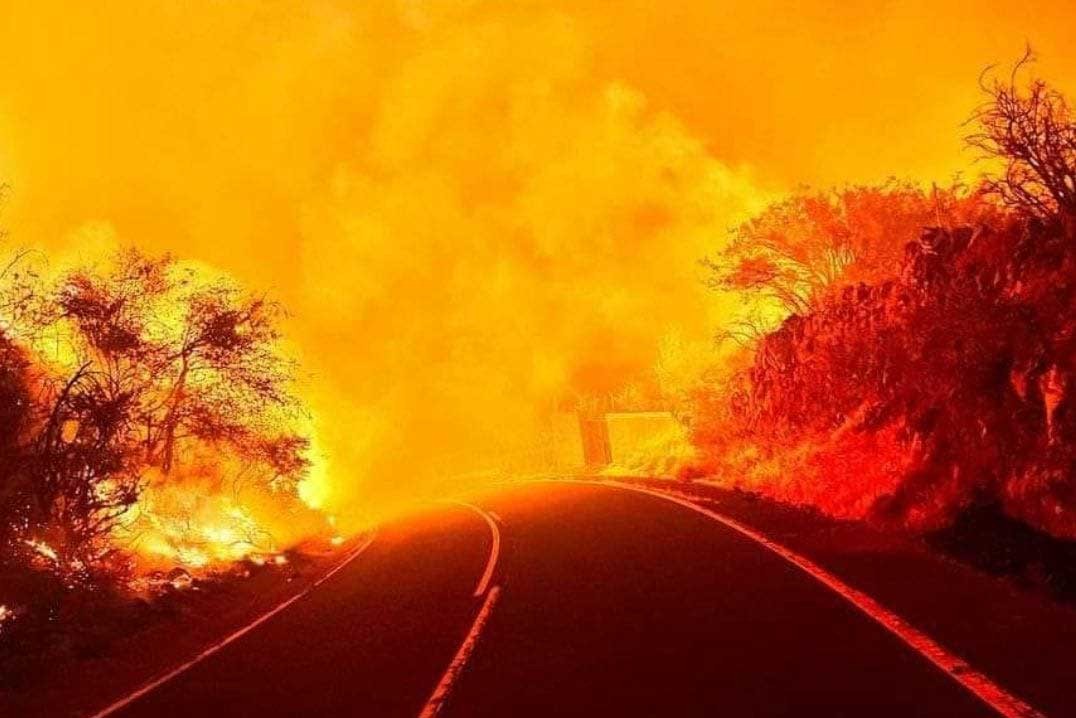 Tenerife Adası’ndaki yangınlarda 13 bin hektardan fazla ormanlık alan küle döndü.