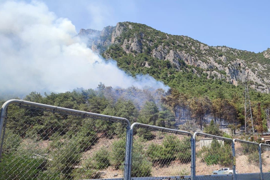 Bilecik'te orman yangını