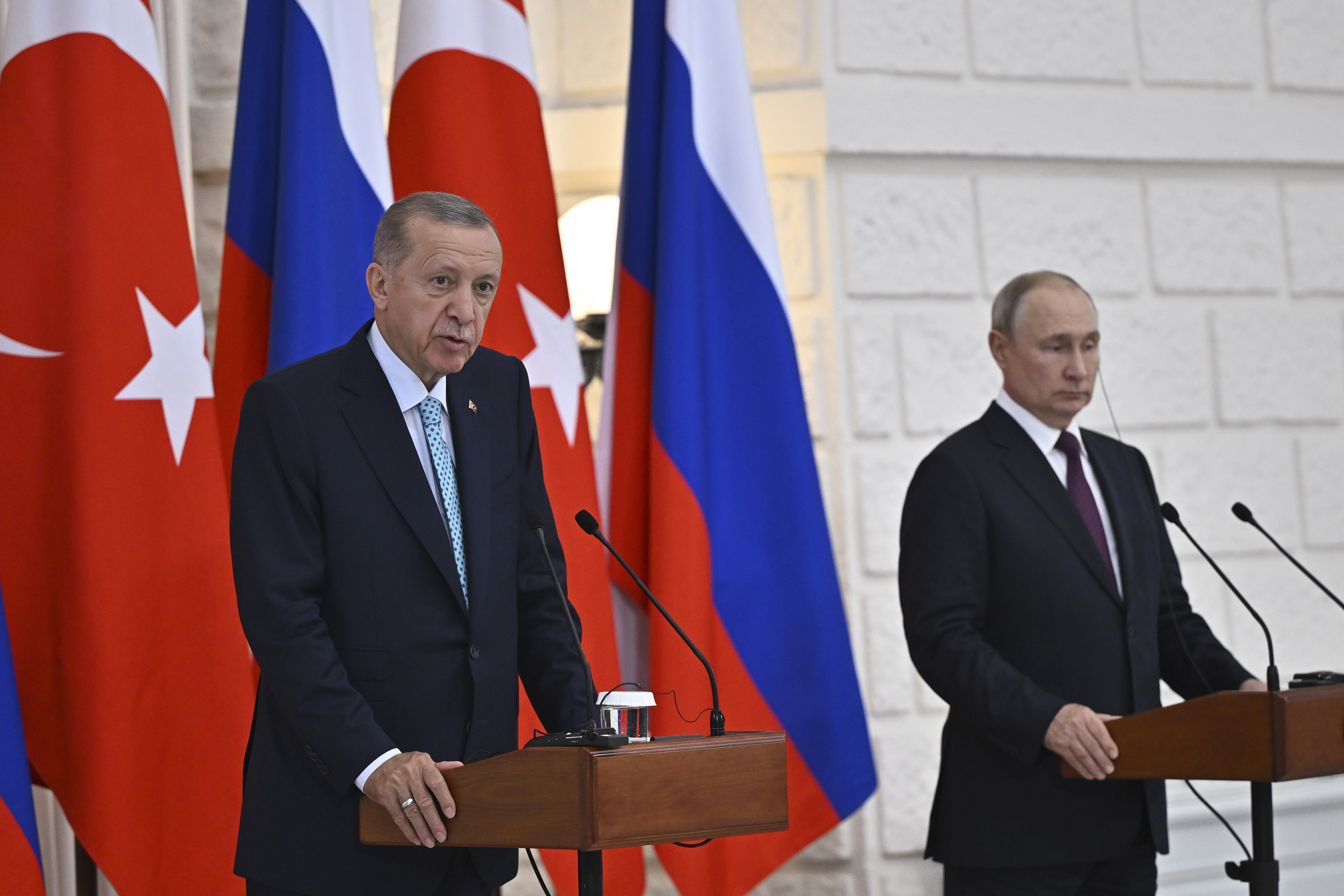 Tayyip Erdoğan ve Vladimir Putin 