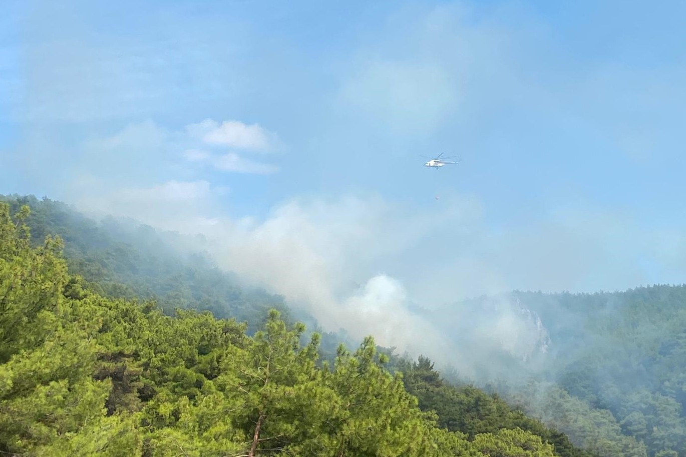 Kazdağlarında yangın