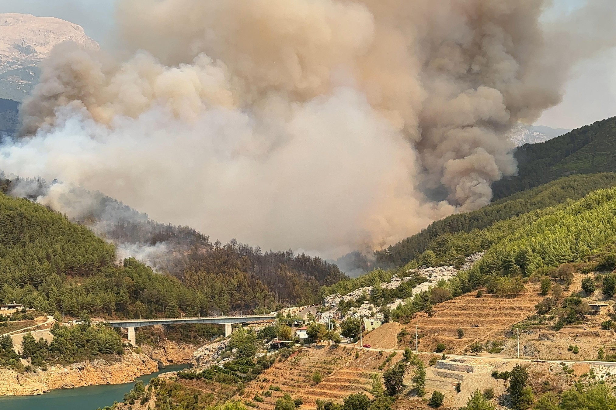 Alanya'daki orman yangını