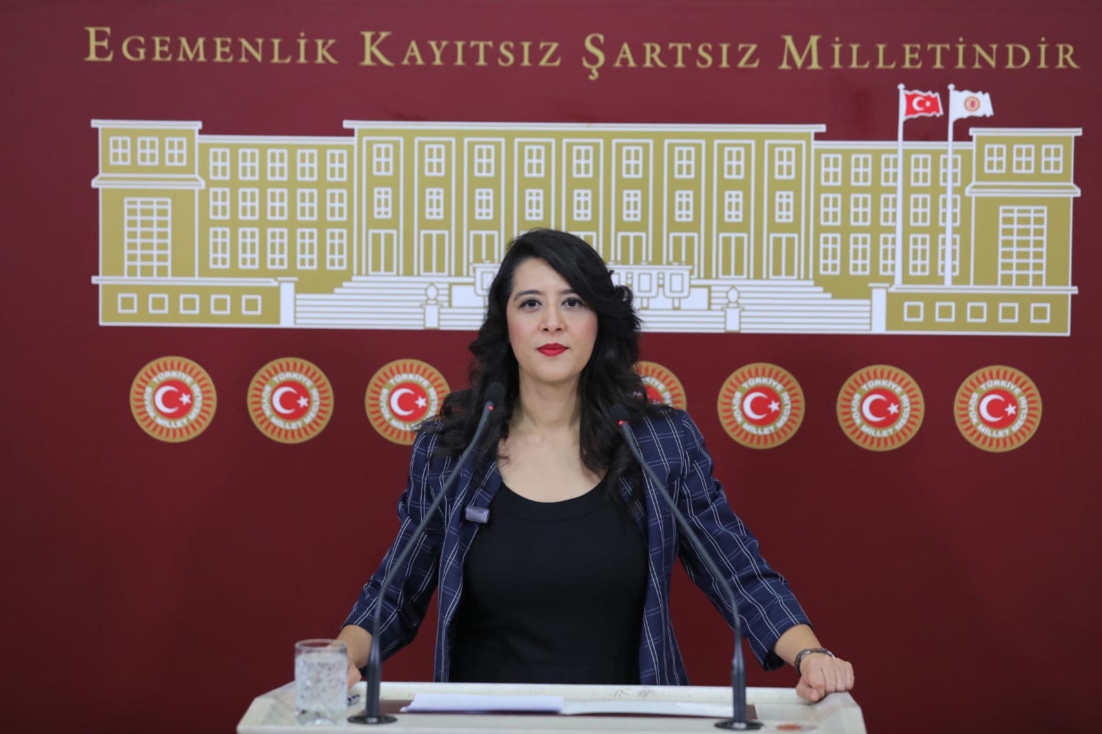 Emek Partisi Gaziantep Milletvekili Sevda Karaca