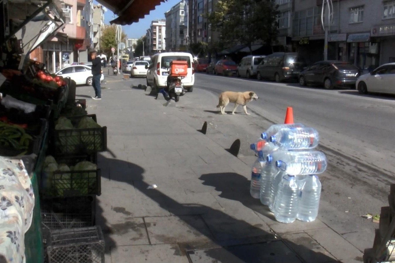 Kadının saldırıya uğradığı yer