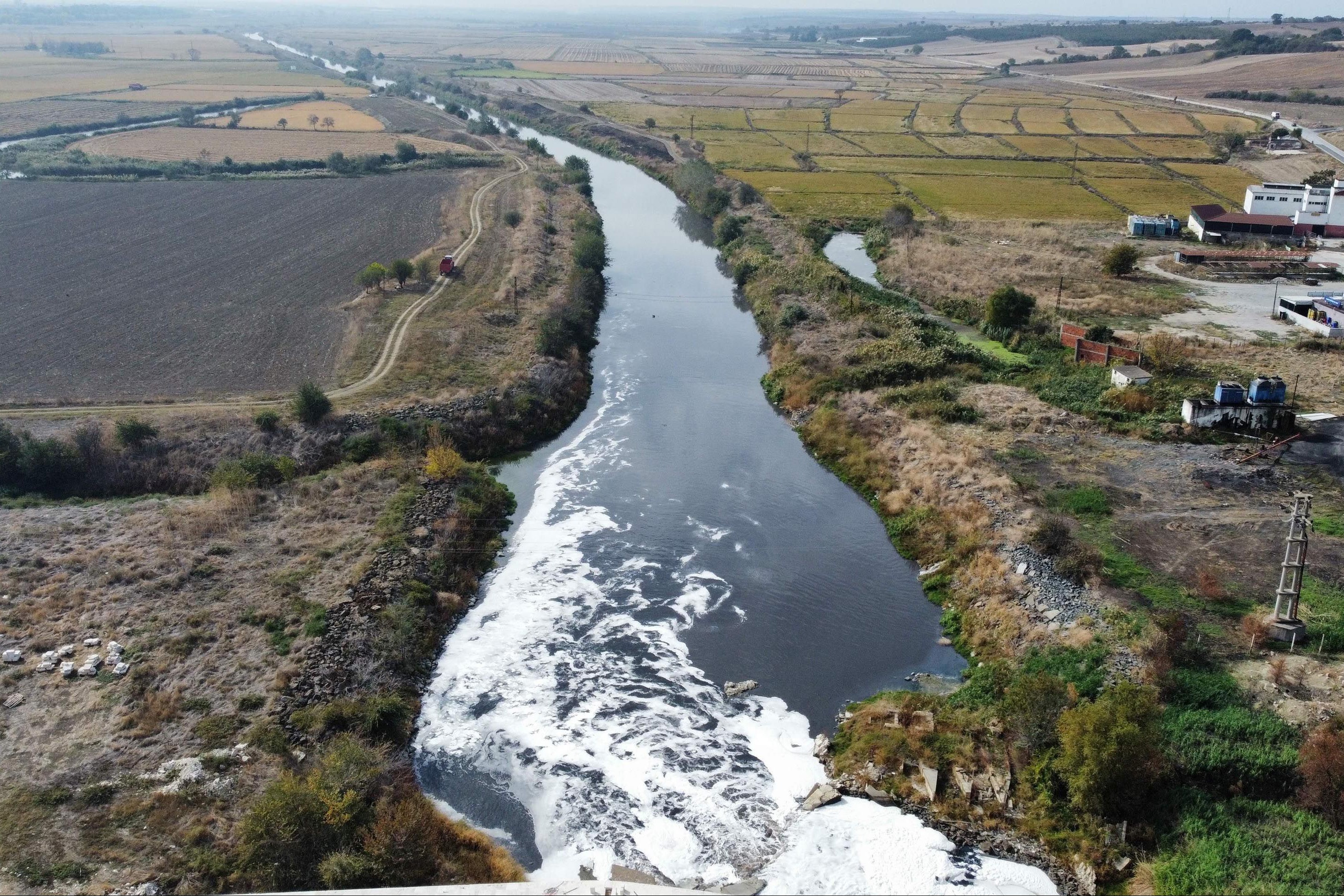 Kirliliği 4'üncü dereceye çıkan Ergene Nehri 