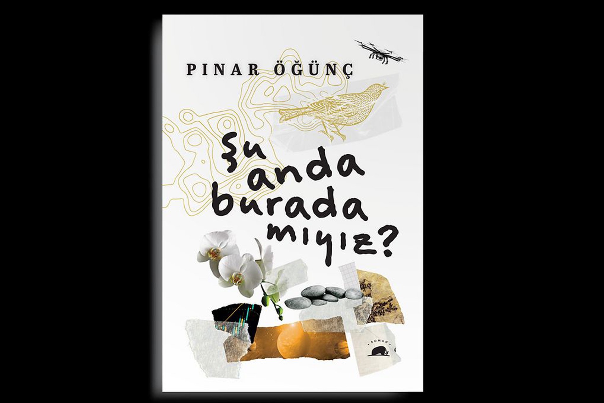 Pınar Öğünç'ün kitabı