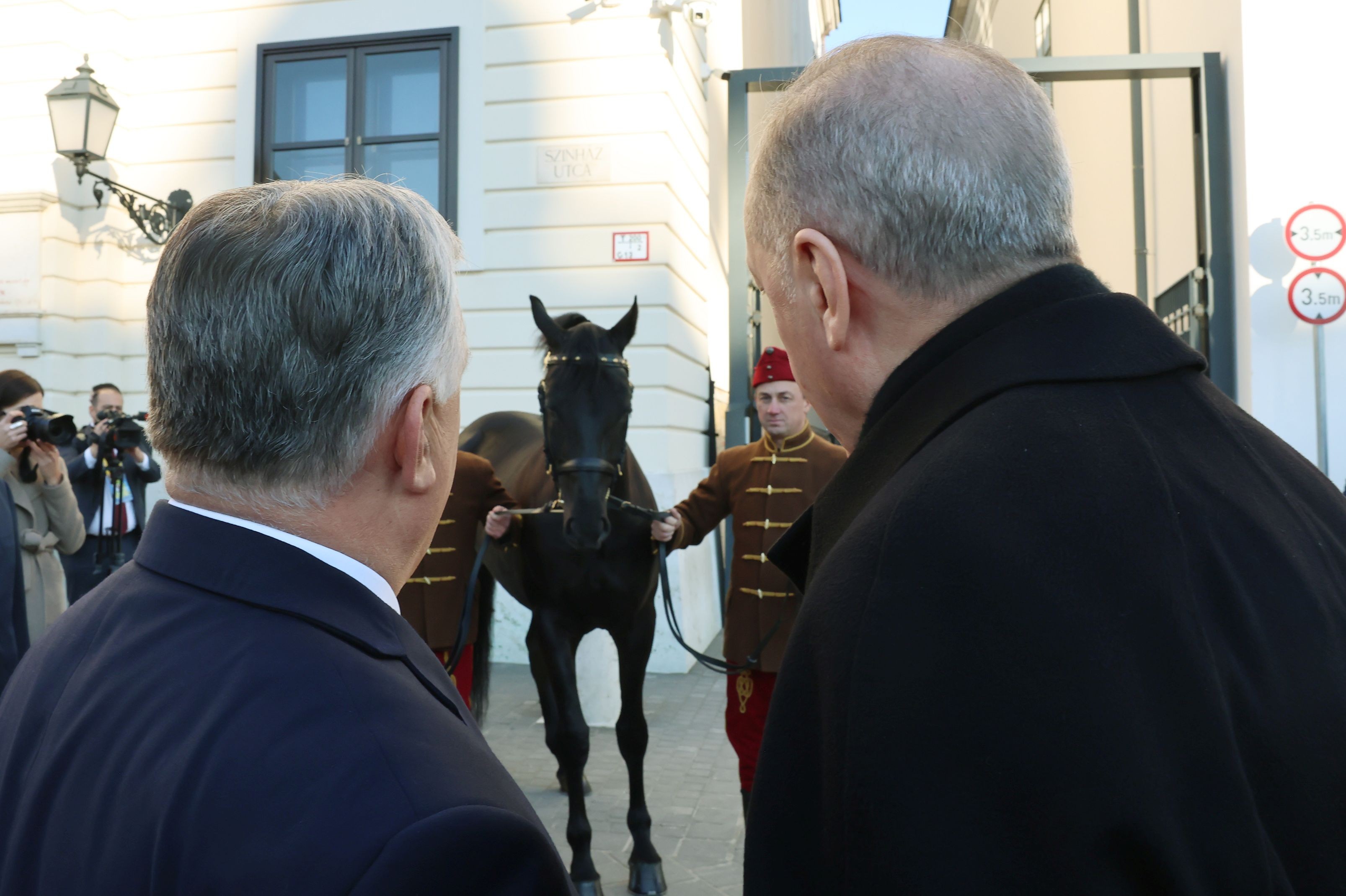 Erdoğan ve Orban, Macar atına bakıyor