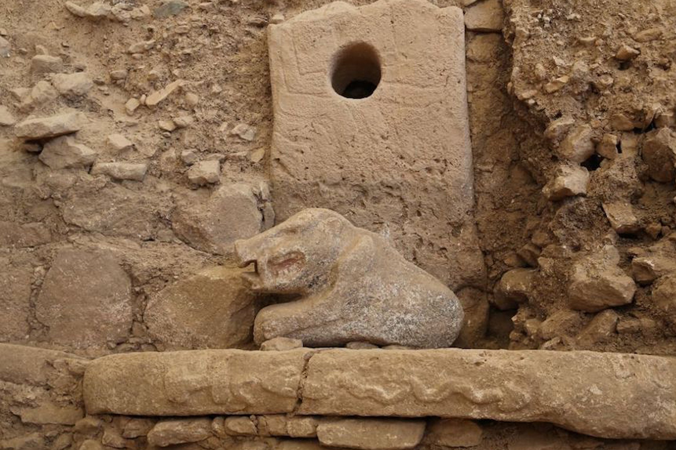 Göbeklitepe'de domuz heykeli