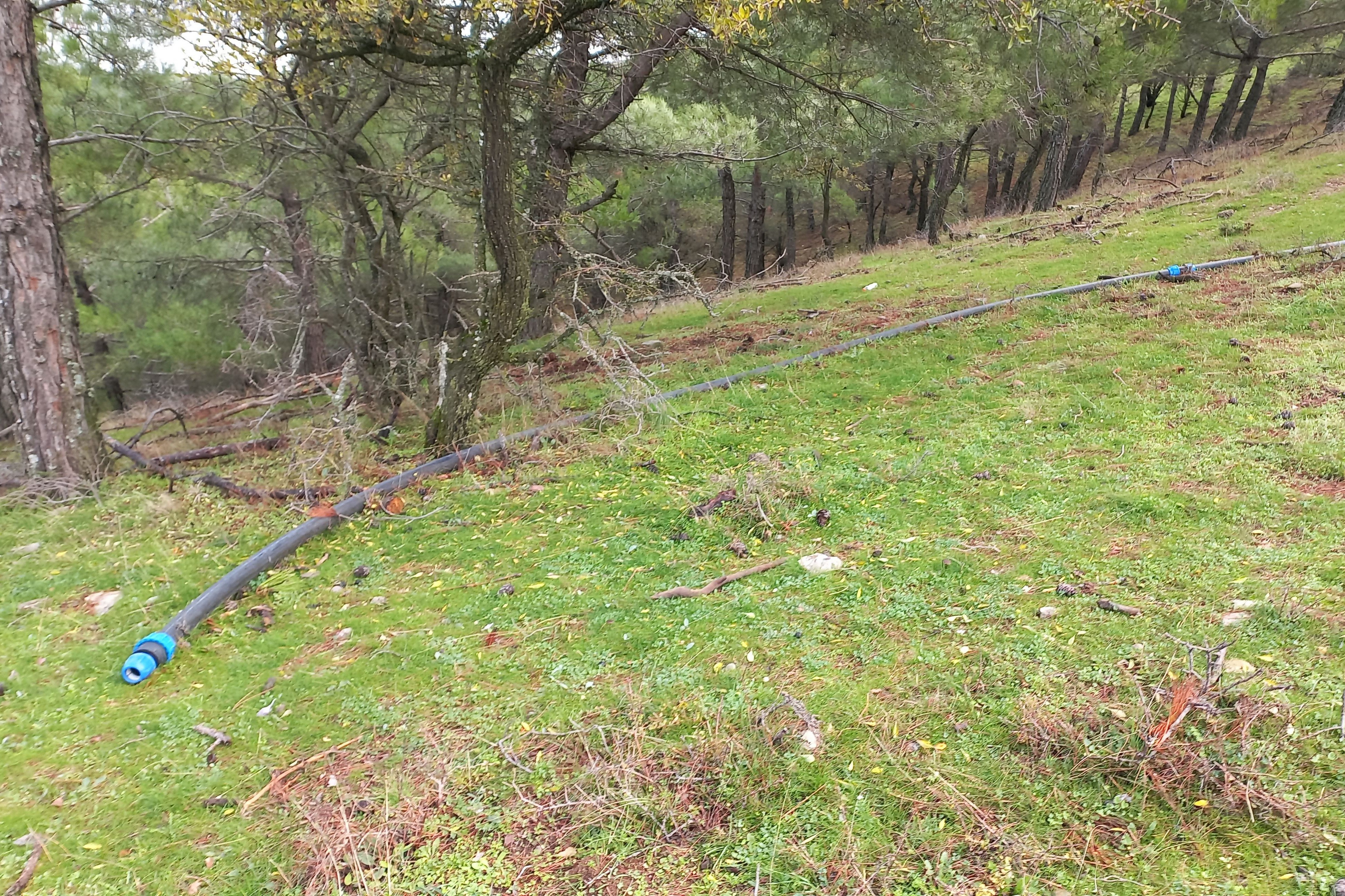 Efemçukuru'nda sondaj boruları