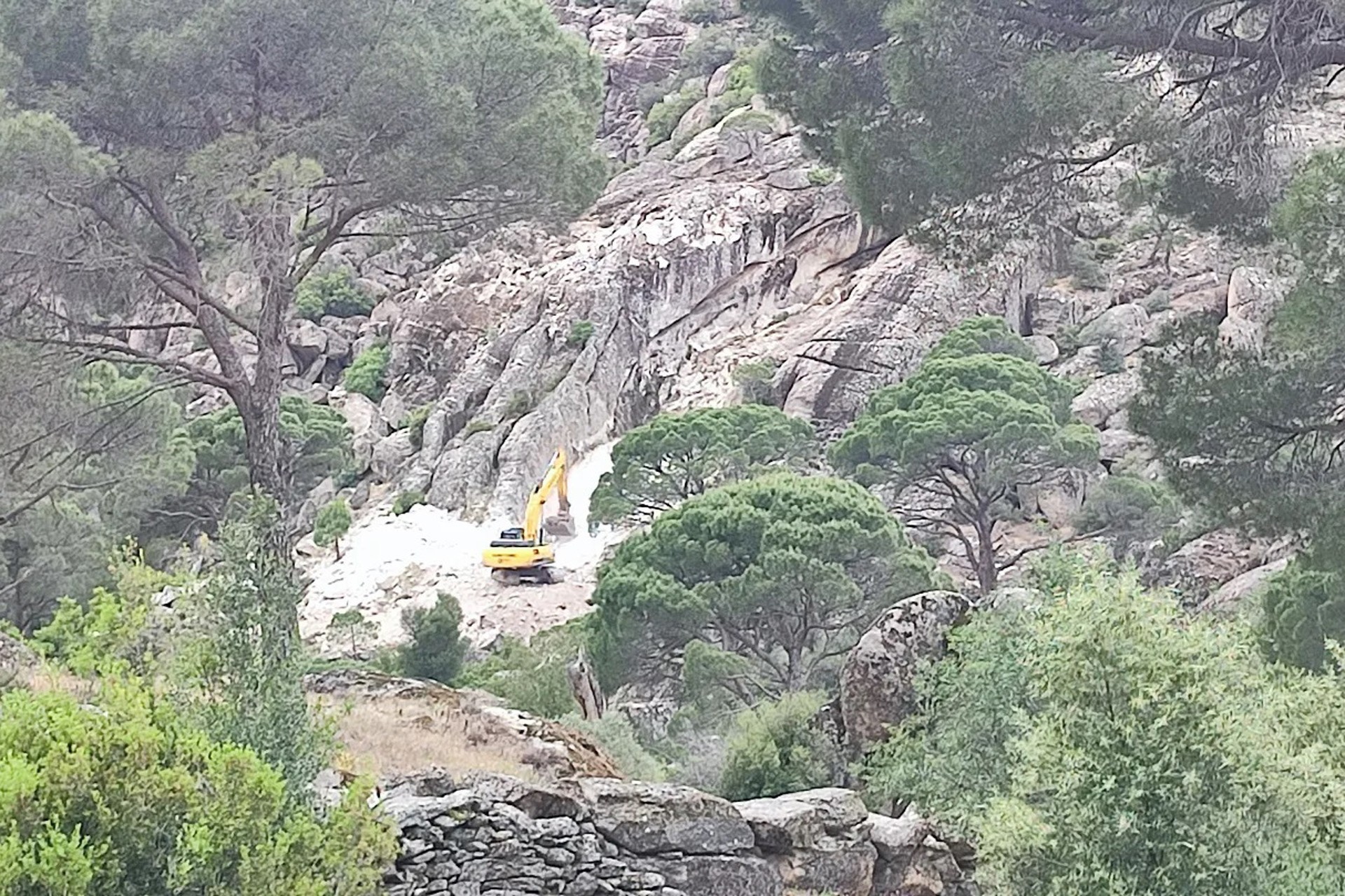 Lotmas dağı maden ocağı için kepçelerle yok ediliyor 