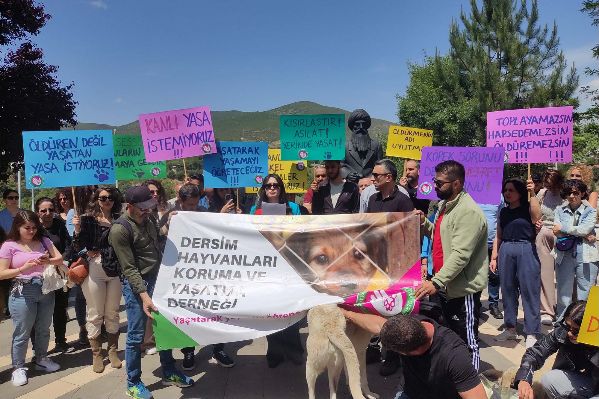 Dersim'de sokak köpekleri için açıklama