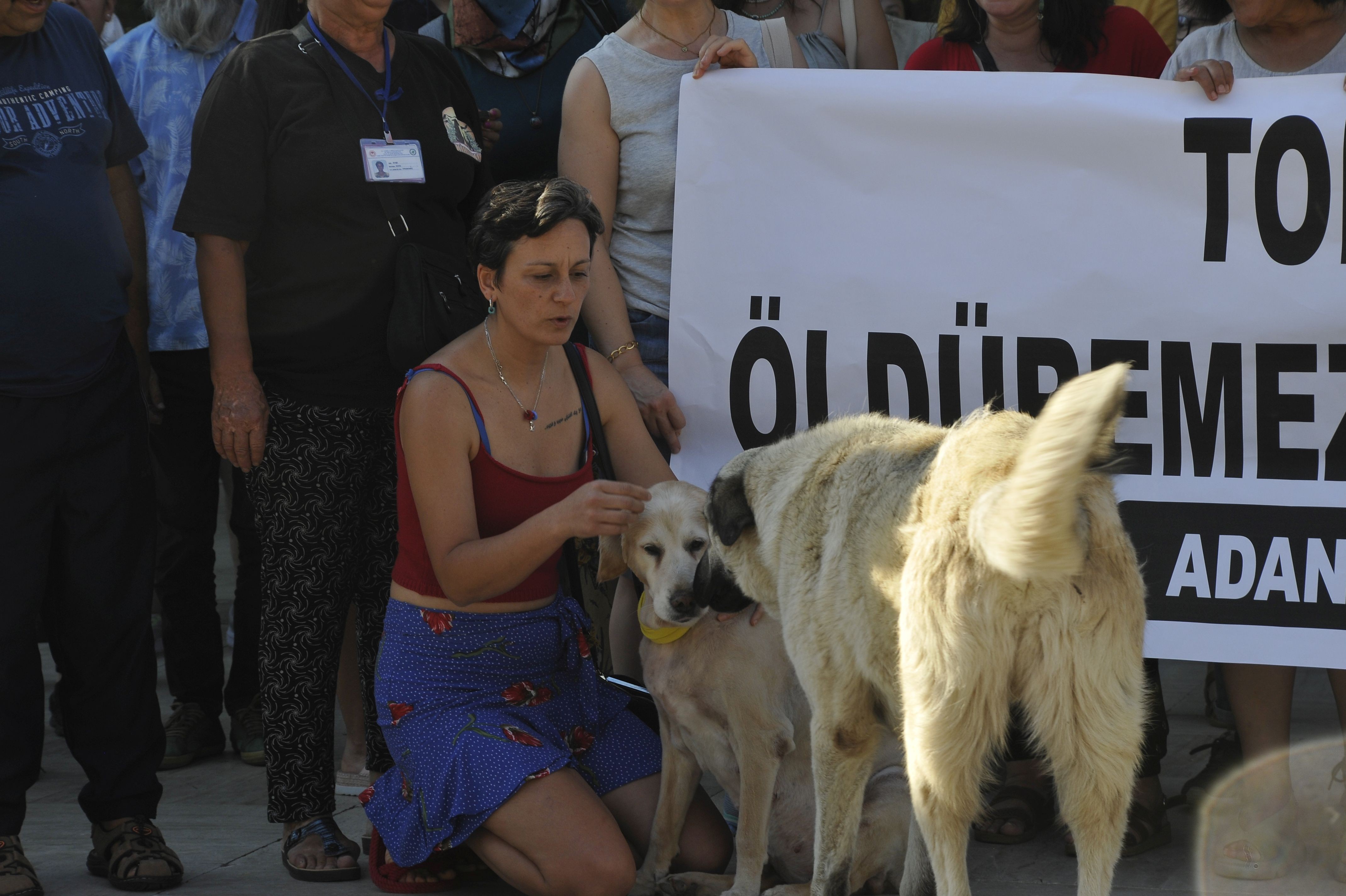 pankart, köpek, köpeği seven kadın 