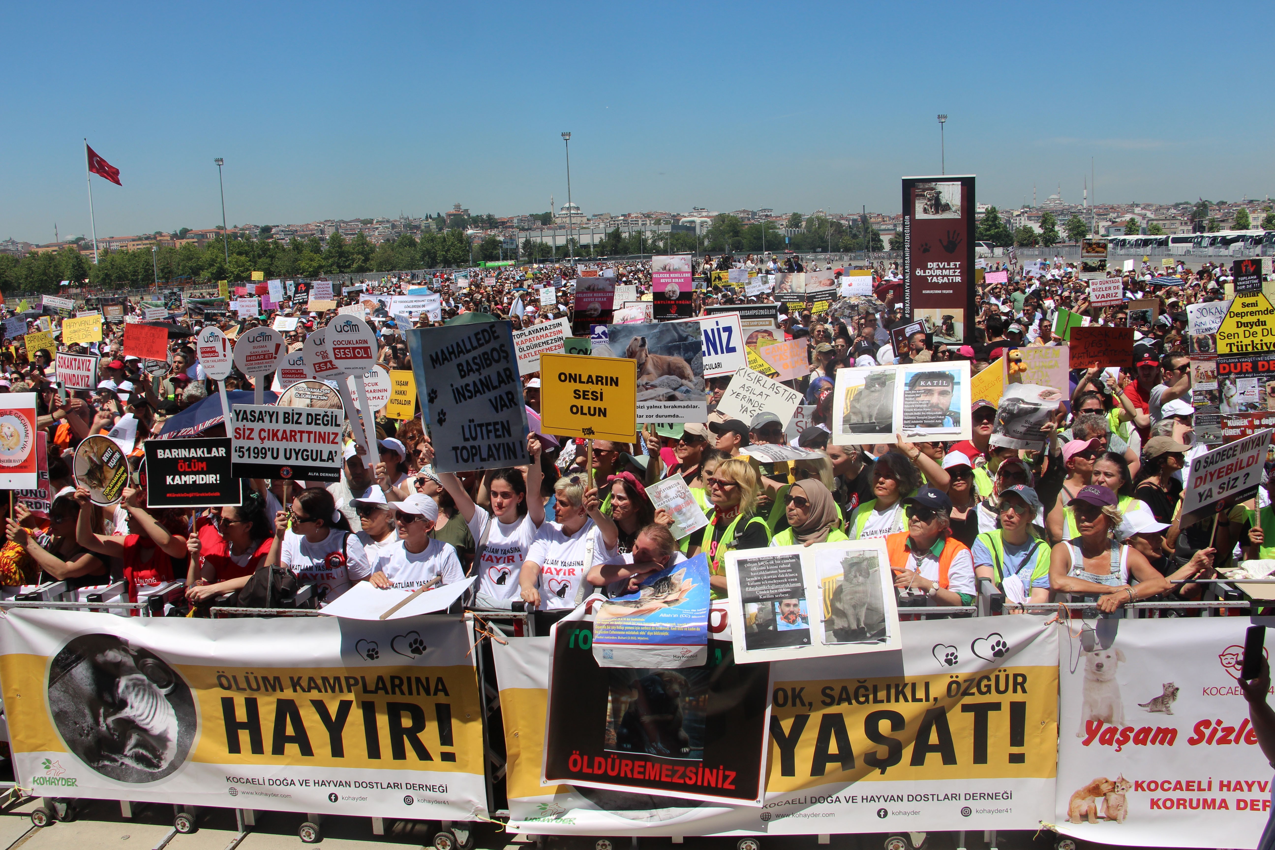 hayvan hakları protestoksu